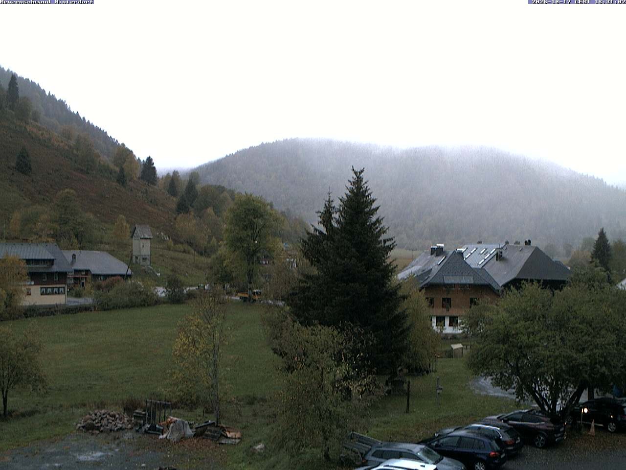 Archiv Foto Webcam Menzenschwand: Hinterdorf
