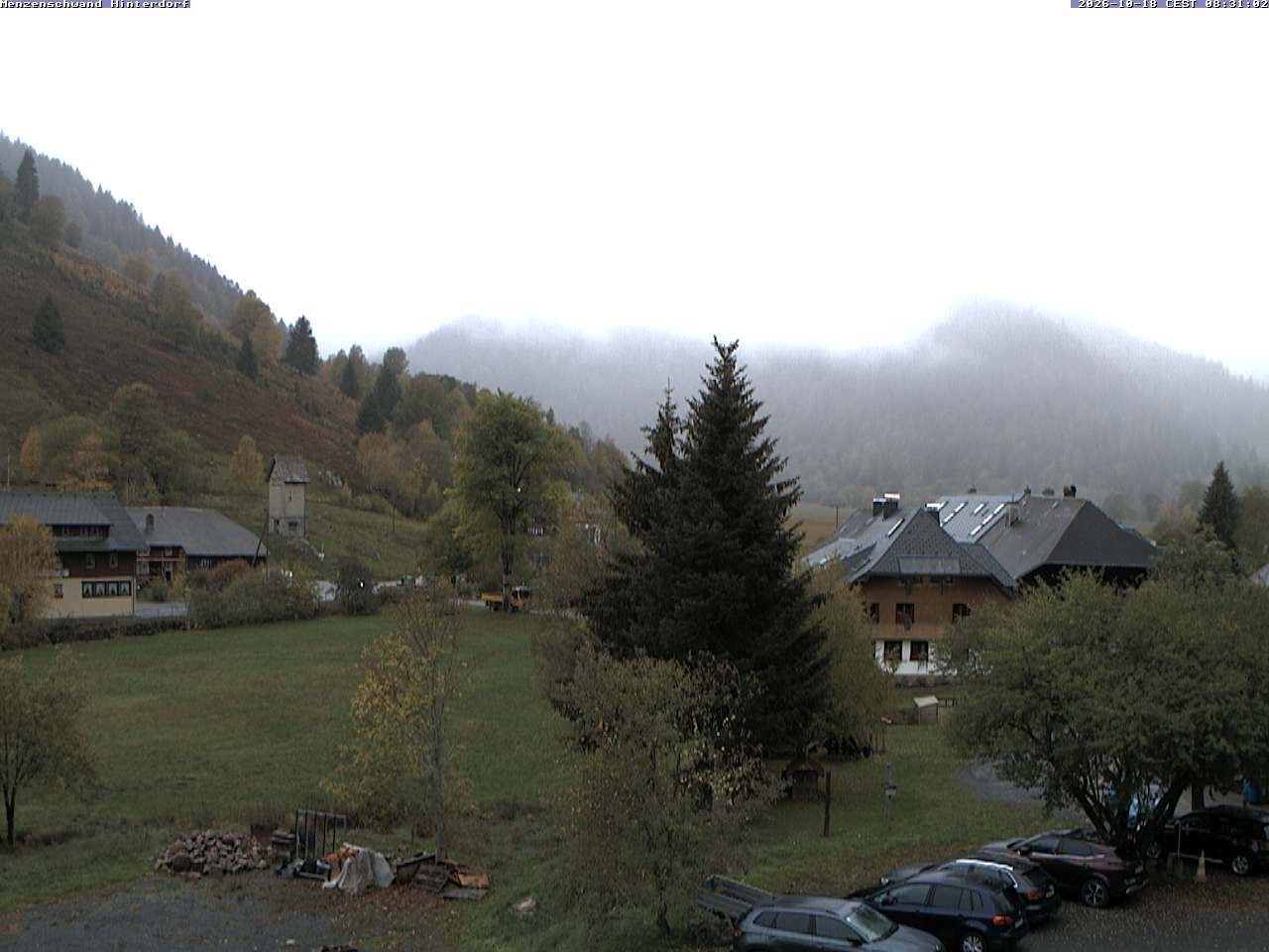 Archived image Webcam Menzenschwand (Hinterdorf)
