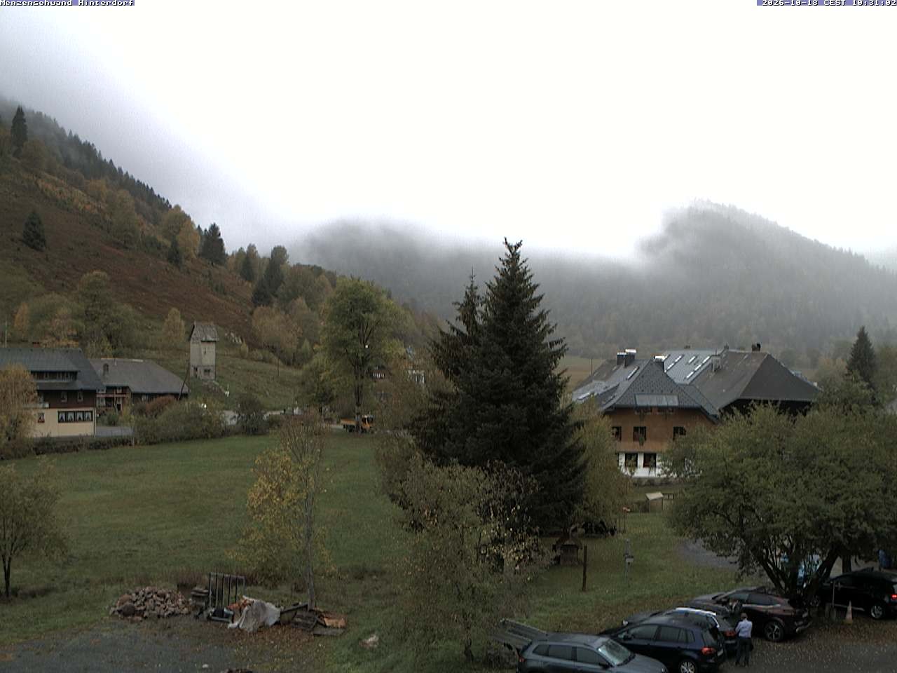 Archived image Webcam Menzenschwand (Hinterdorf)