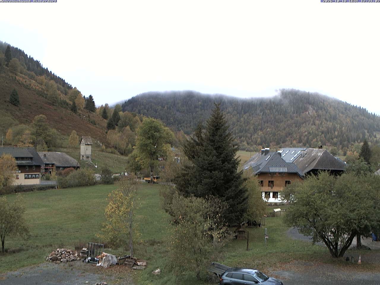 Archived image Webcam Menzenschwand (Hinterdorf)