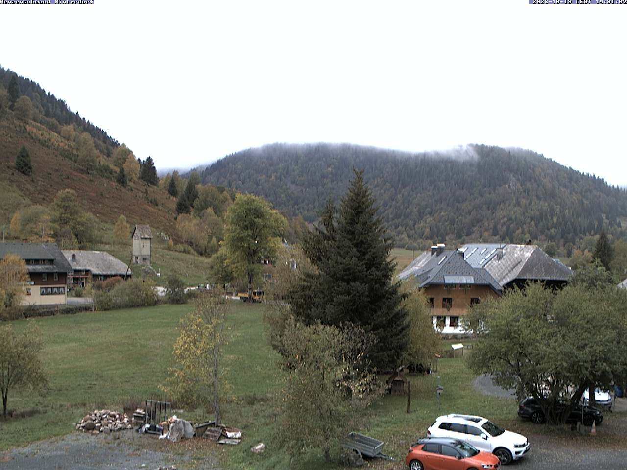 Archived image Webcam Menzenschwand (Hinterdorf)