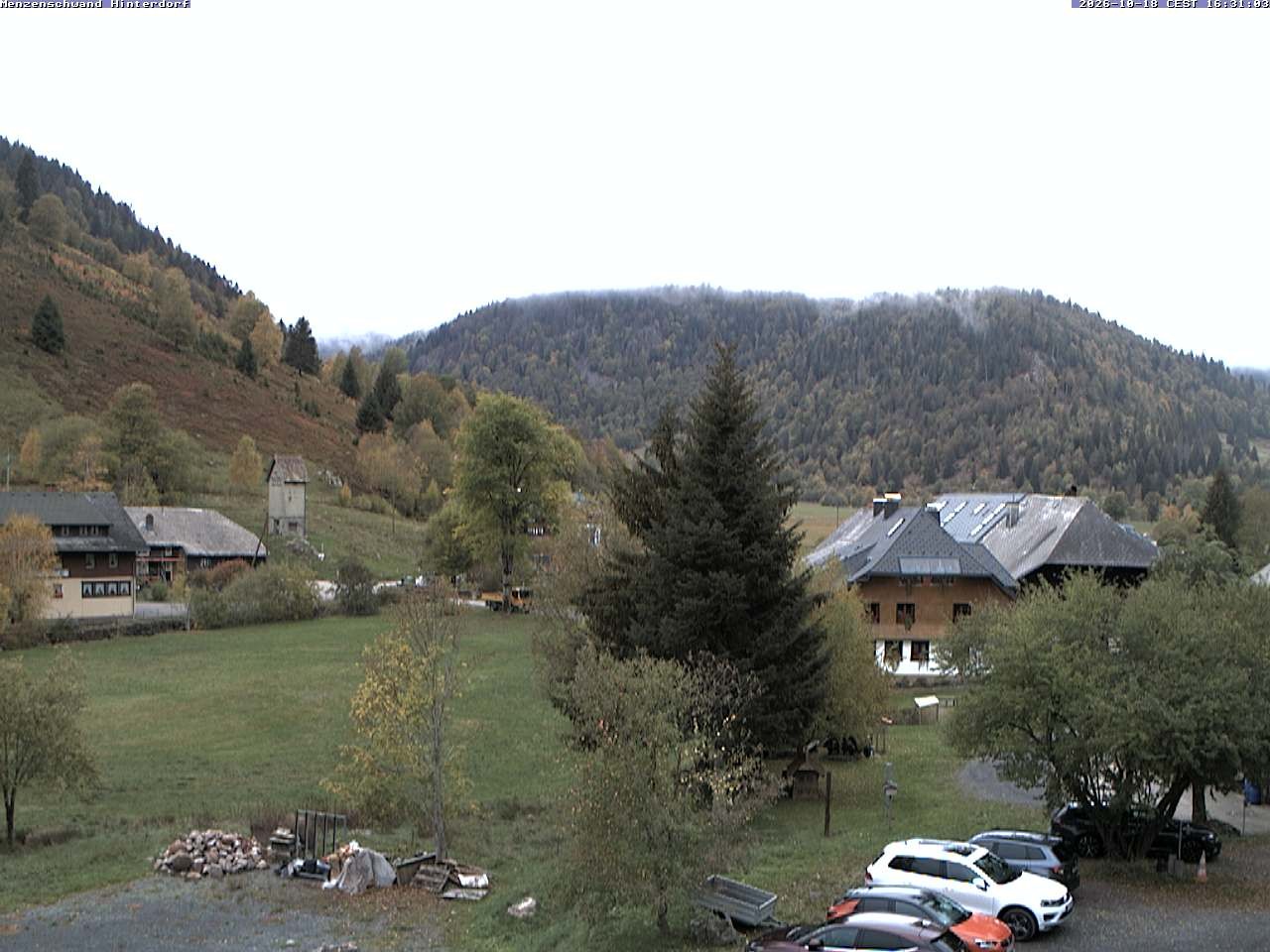 Archived image Webcam Menzenschwand (Hinterdorf)