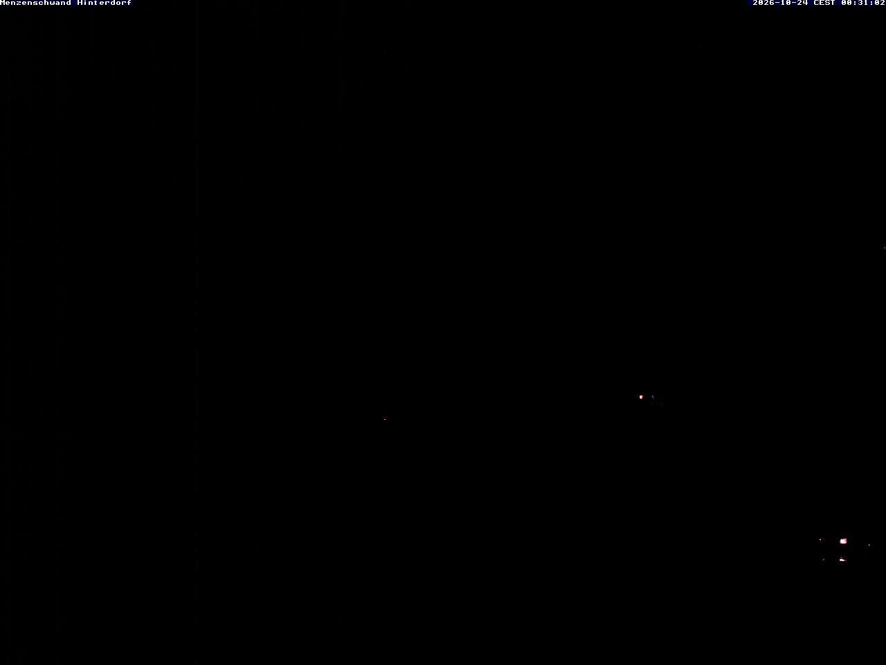 Archived image Webcam Menzenschwand (Hinterdorf)