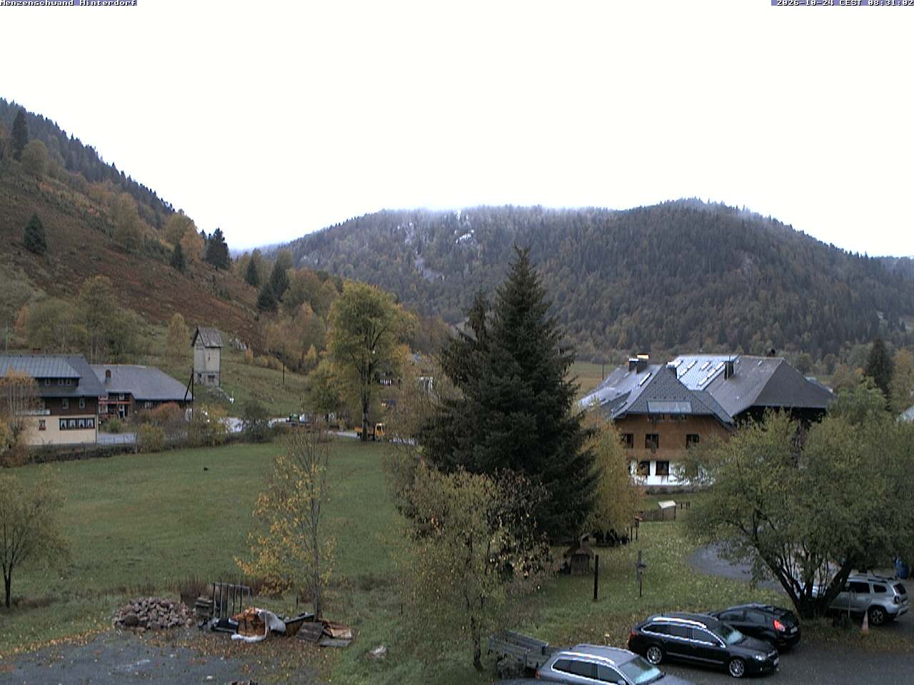 Archived image Webcam Menzenschwand (Hinterdorf)
