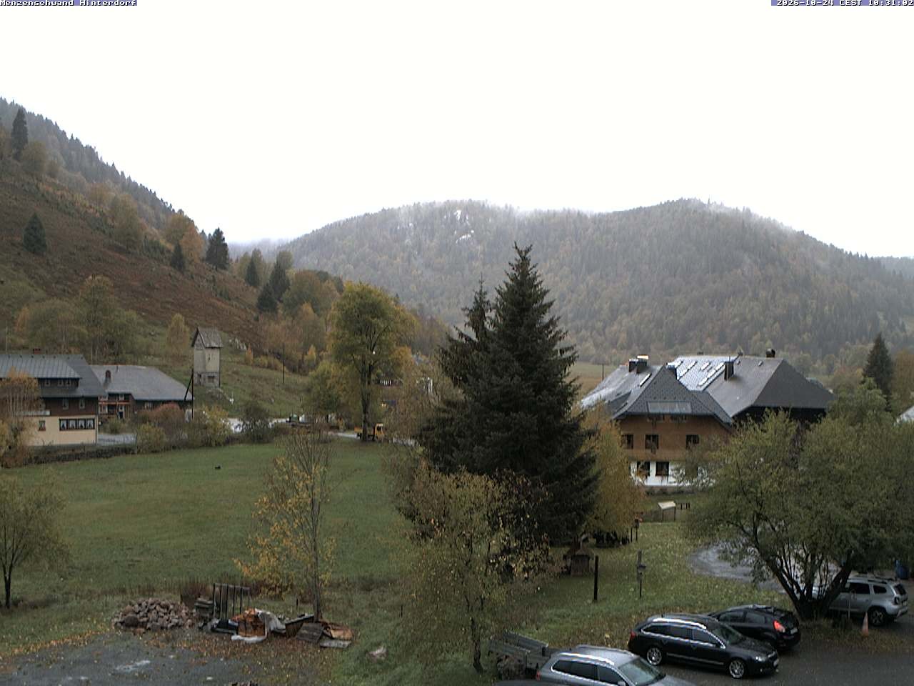Archived image Webcam Menzenschwand (Hinterdorf)