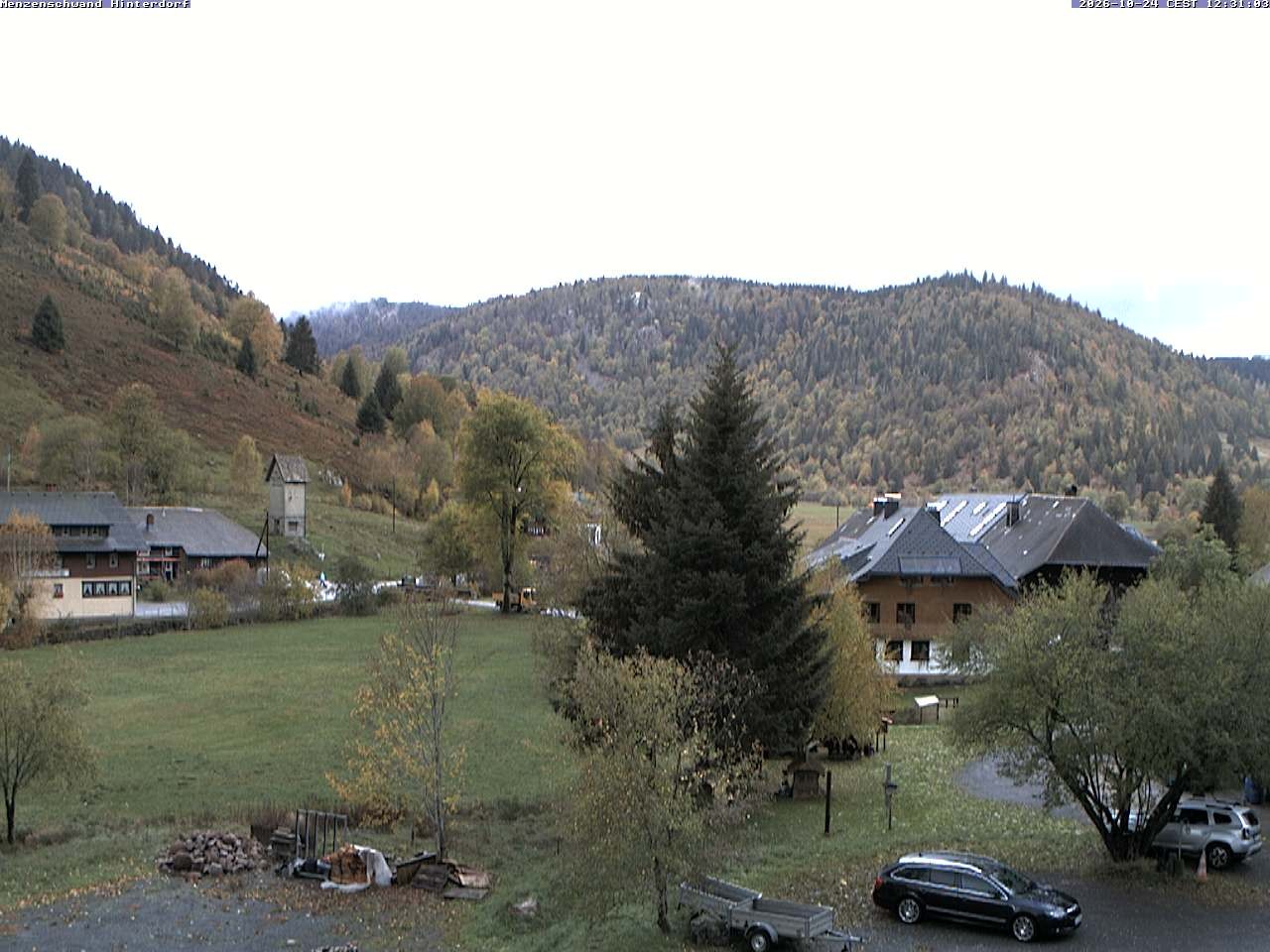 Archived image Webcam Menzenschwand (Hinterdorf)