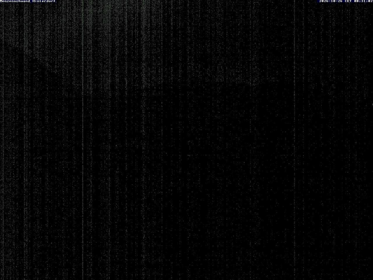 Archiv Foto Webcam Menzenschwand: Hinterdorf