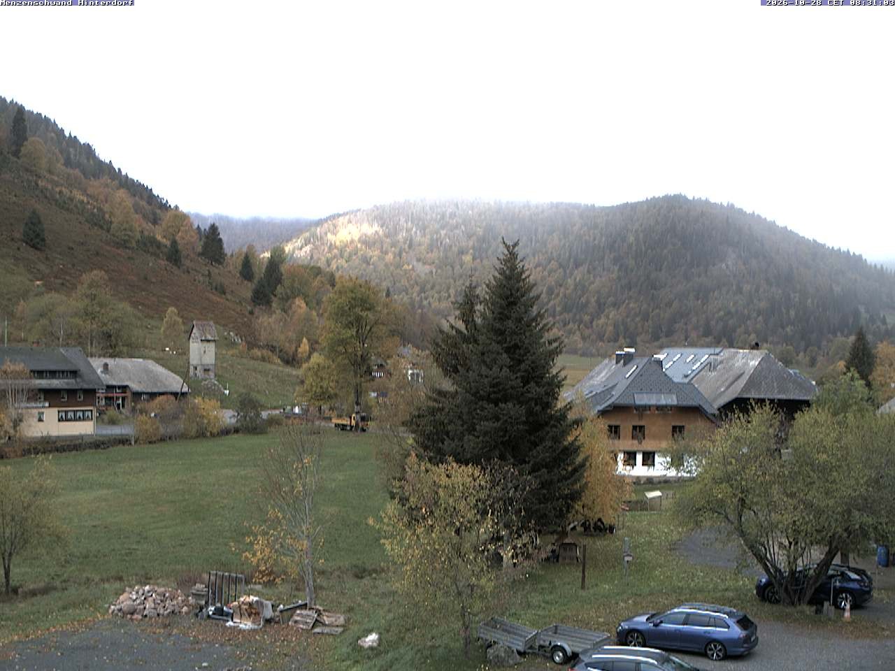 Archiv Foto Webcam Menzenschwand: Hinterdorf