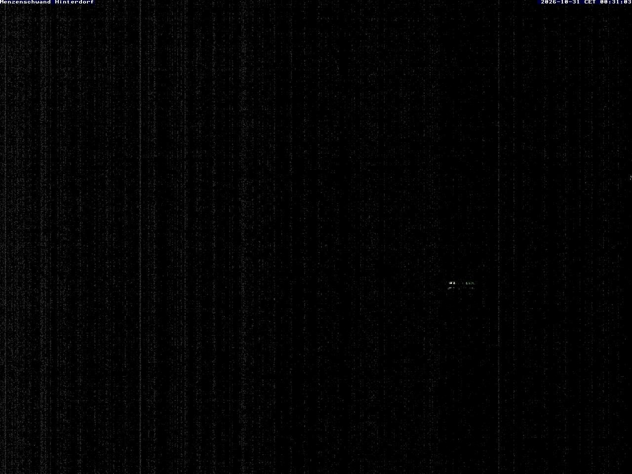 Archived image Webcam Menzenschwand (Hinterdorf)