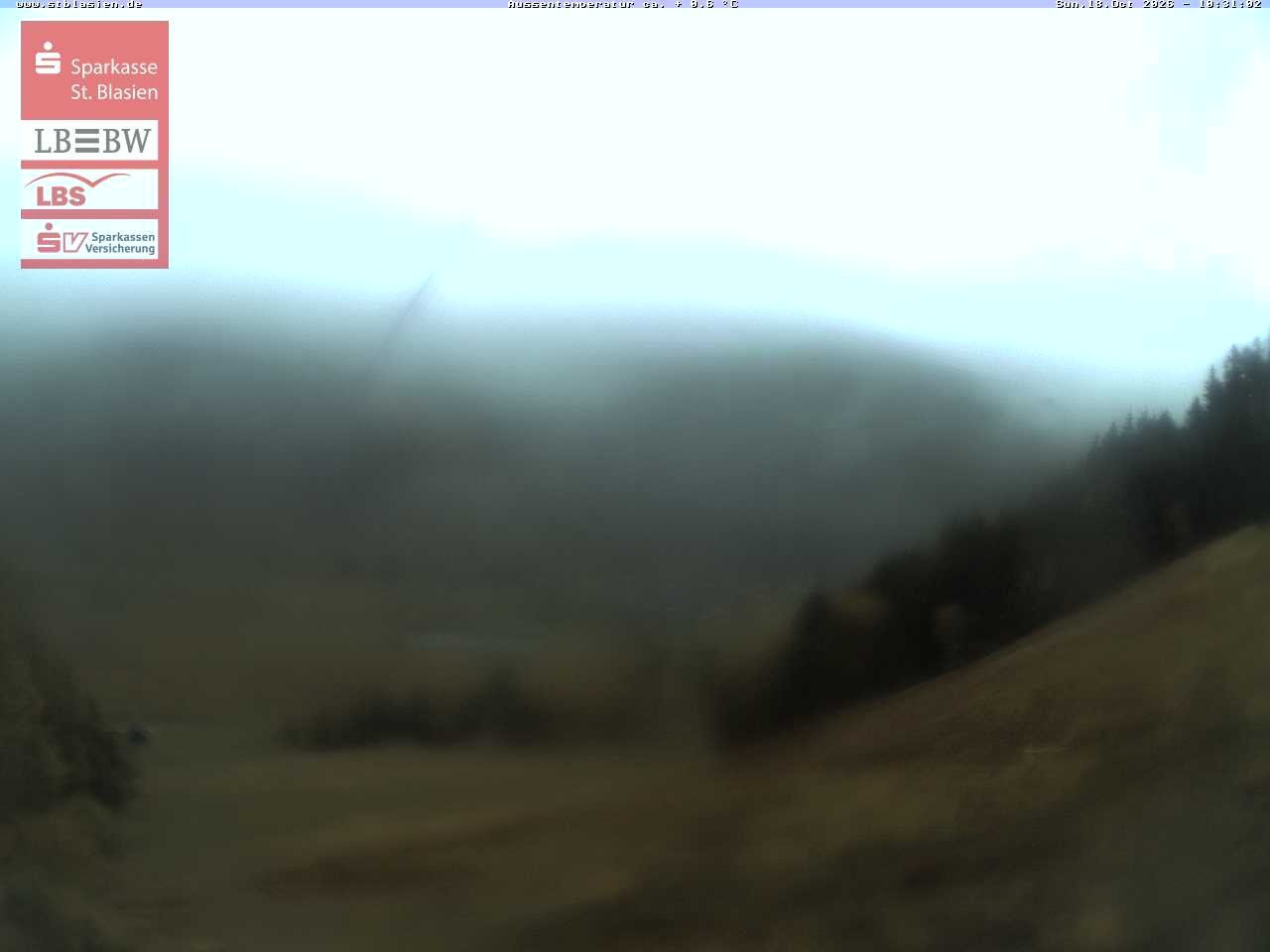 Archived image Webcam Top station Moesle