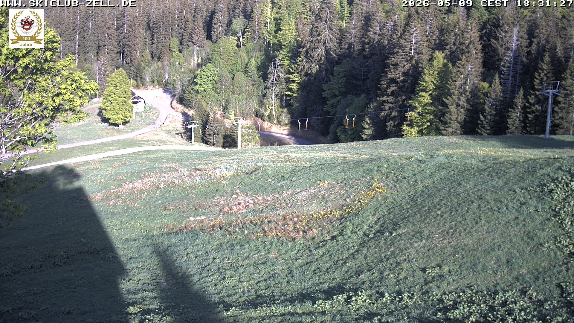 Archiv Foto Webcam St Blasien Menzenschwand Zeller Skihütte