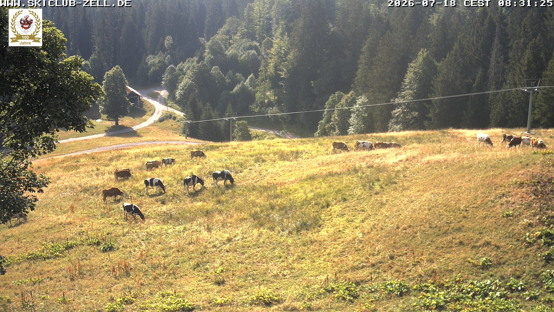 Archiv Foto Webcam St Blasien Menzenschwand Zeller Skihütte