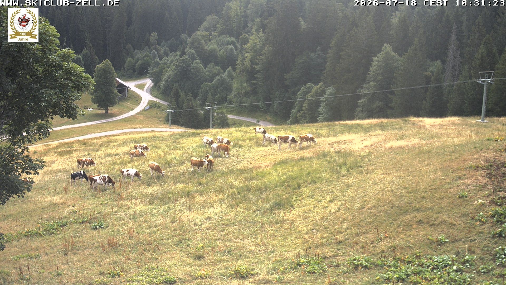 Archiv Foto Webcam St Blasien Menzenschwand Zeller Skihütte