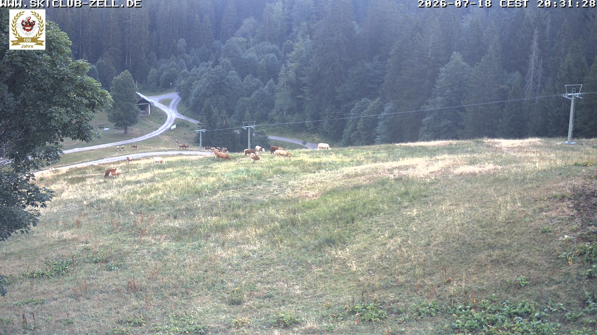 Archiv Foto Webcam St Blasien Menzenschwand Zeller Skihütte