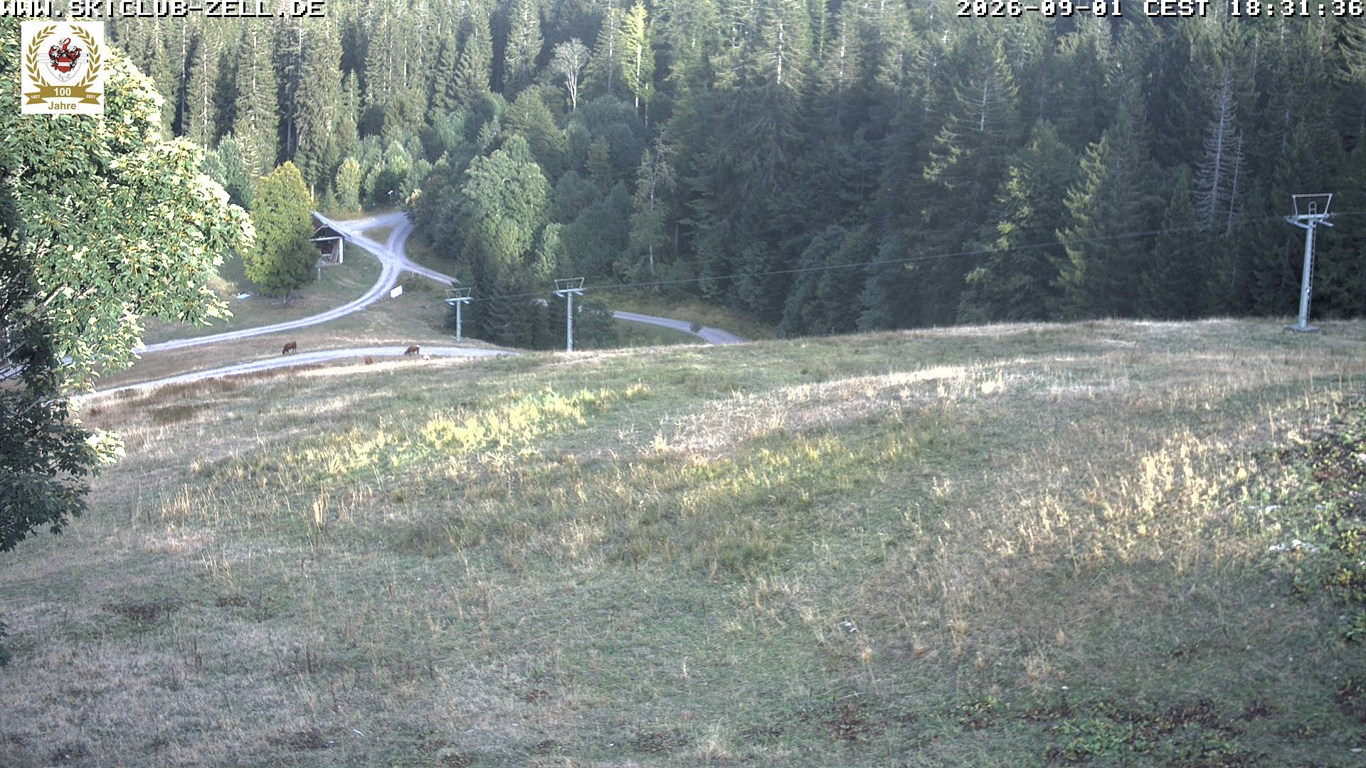Archiv Foto Webcam St Blasien Menzenschwand Zeller Skihütte