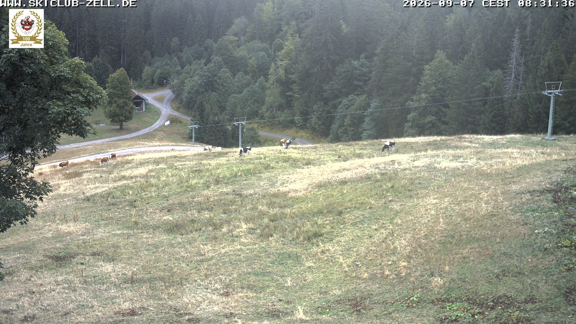 Archiv Foto Webcam St Blasien Menzenschwand Zeller Skihütte