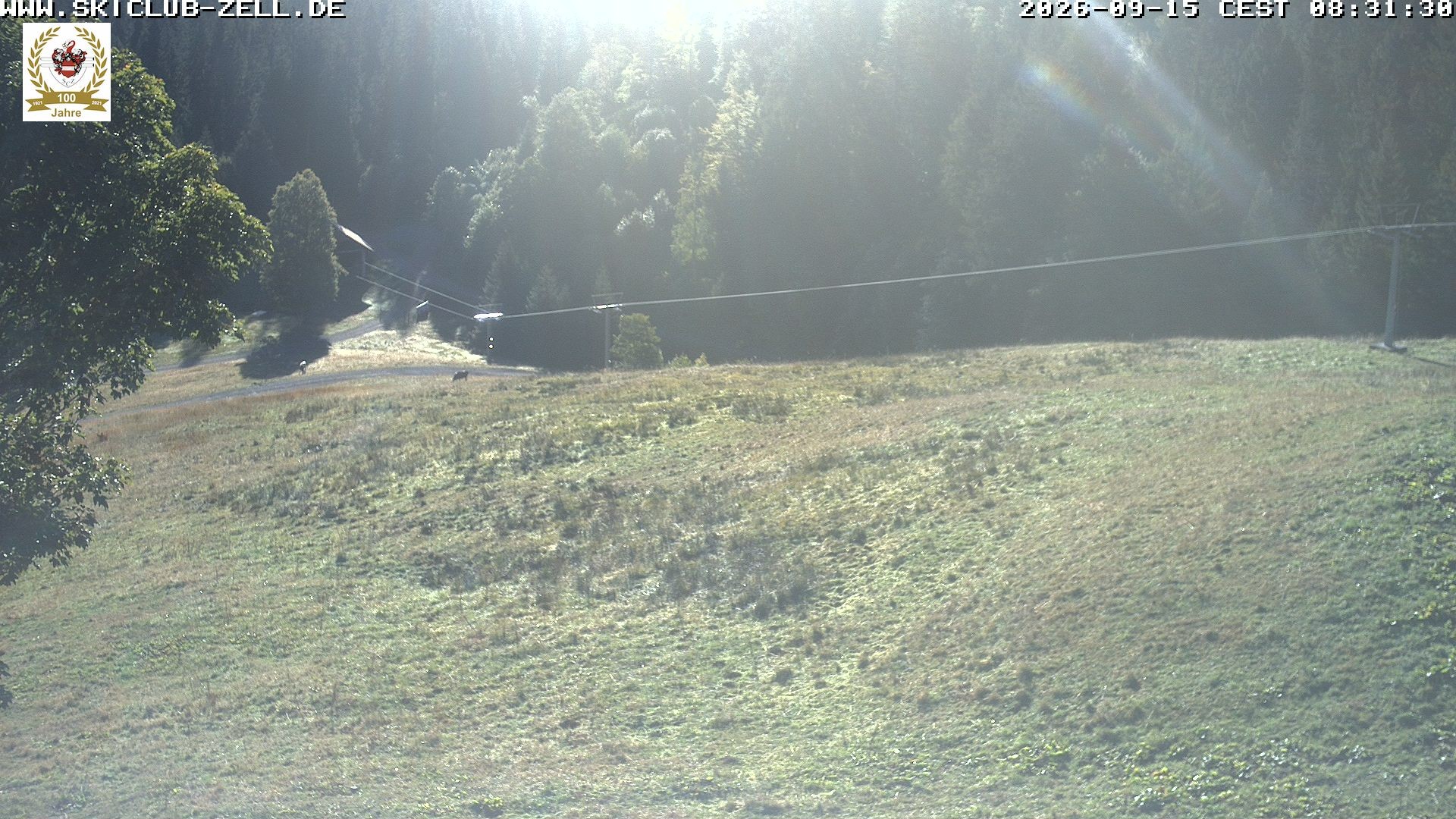 Archiv Foto Webcam St Blasien Menzenschwand Zeller Skihütte