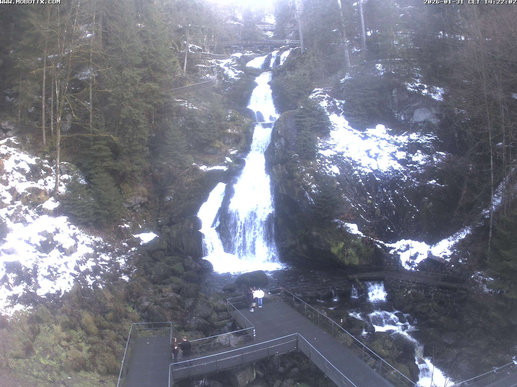 Archiv Foto Webcam Triberg Wasserfälle im Schwarzwald