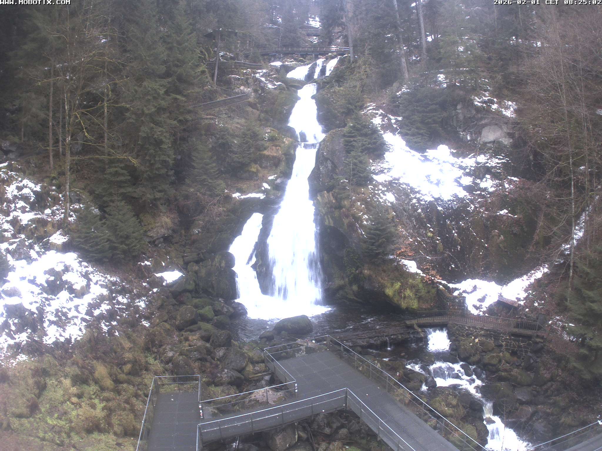 Archiv Foto Webcam Triberg Wasserfälle im Schwarzwald