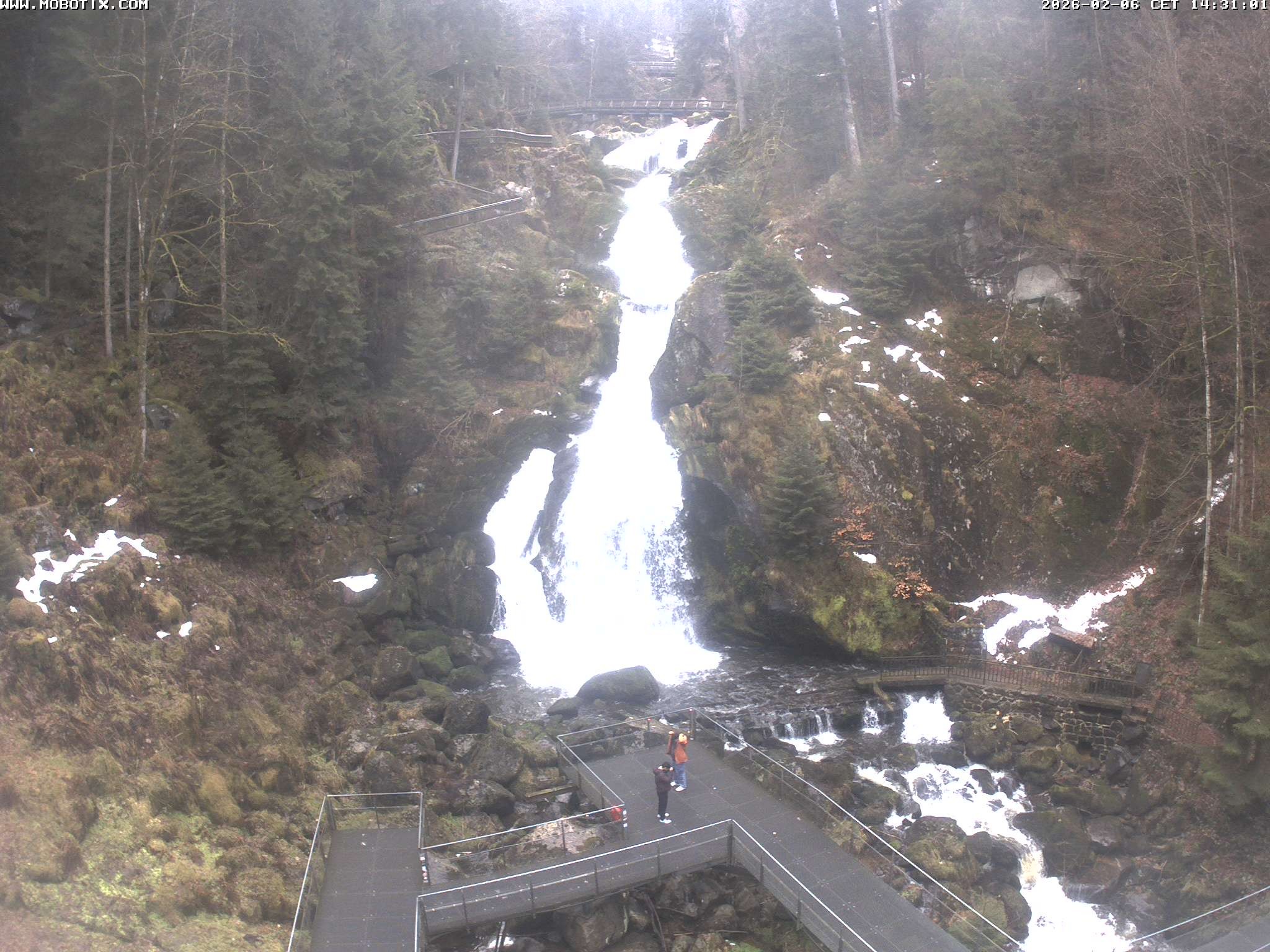 Archiv Foto Webcam Triberg Wasserfälle im Schwarzwald