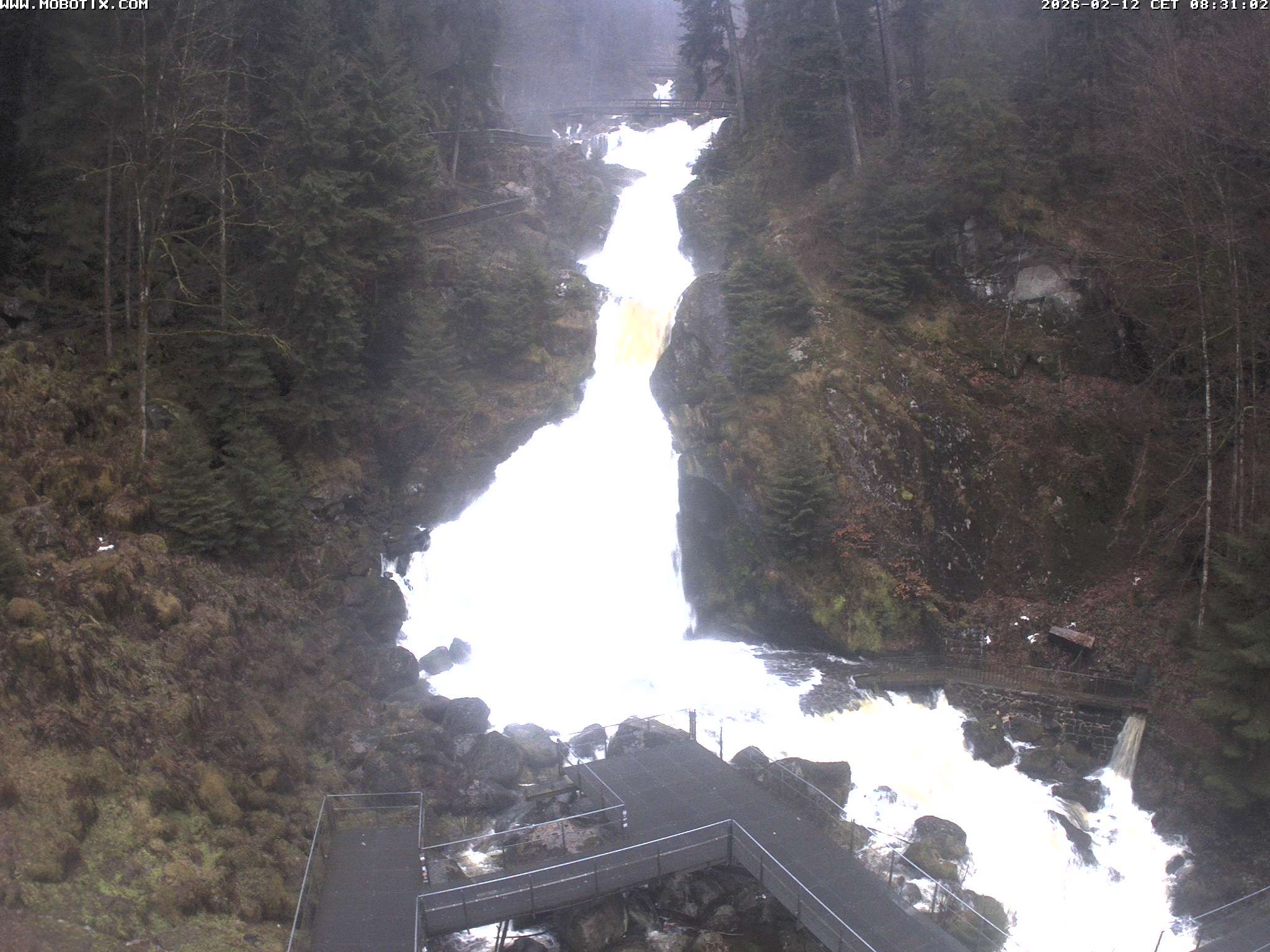 Archived image Webcam Triberg (Black Forest): Waterfalls