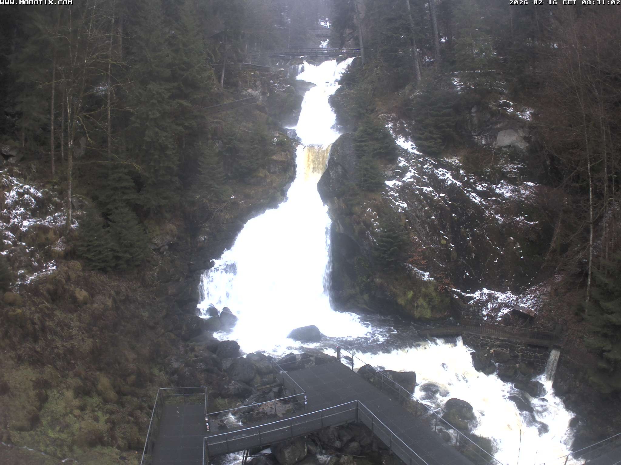 Archiv Foto Webcam Triberg Wasserfälle im Schwarzwald