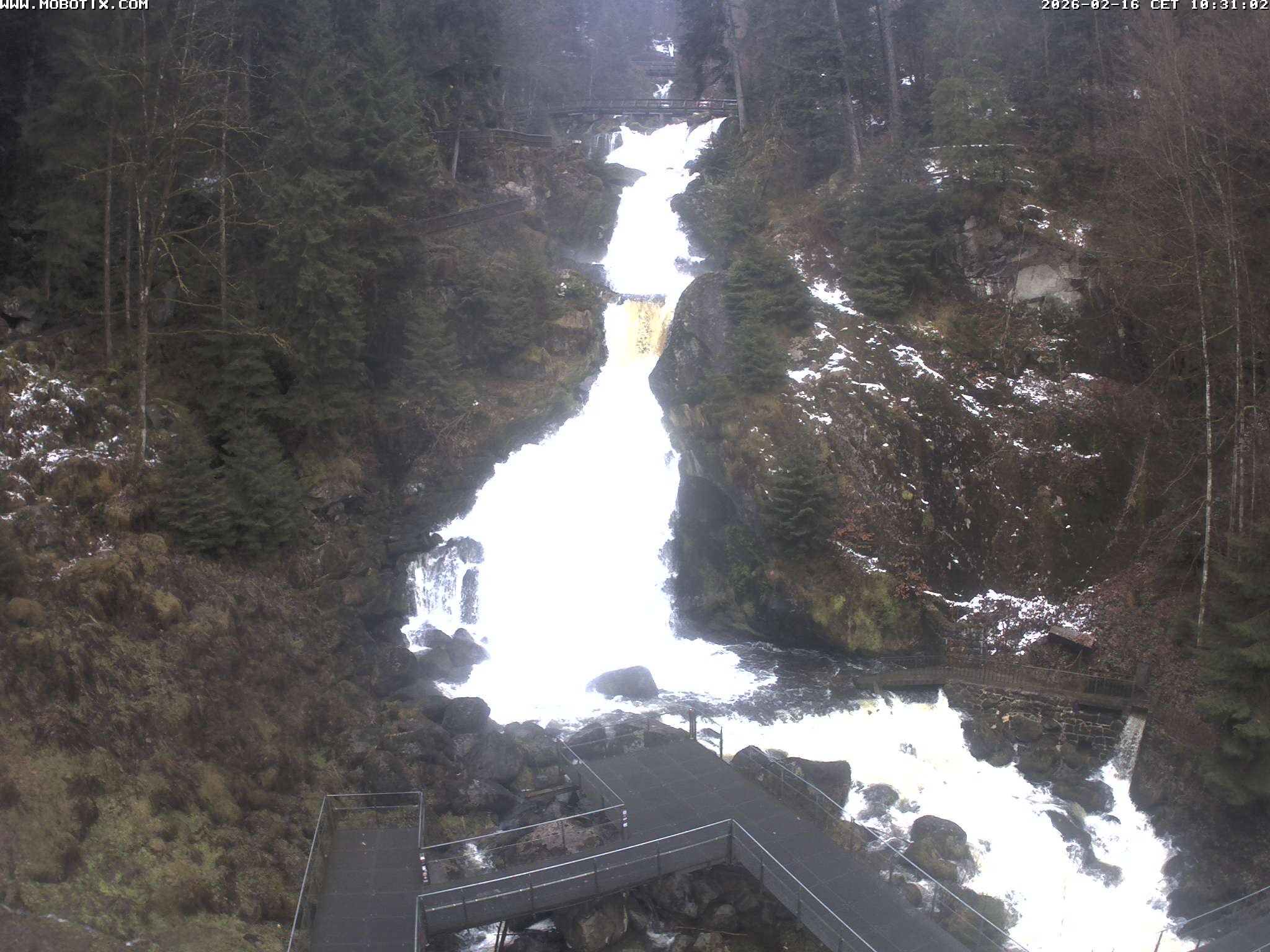 Archiv Foto Webcam Triberg Wasserfälle im Schwarzwald