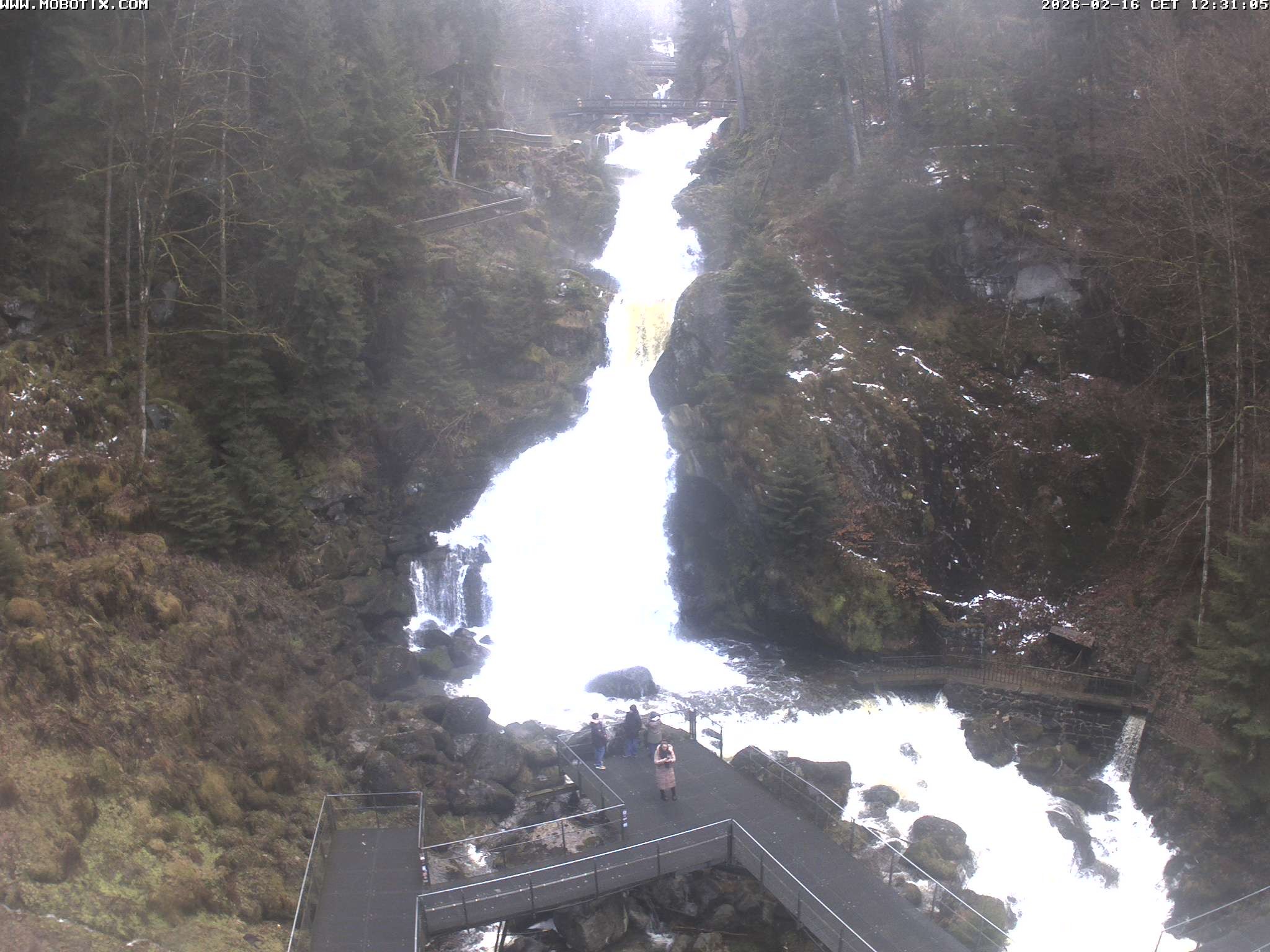 Archiv Foto Webcam Triberg Wasserfälle im Schwarzwald