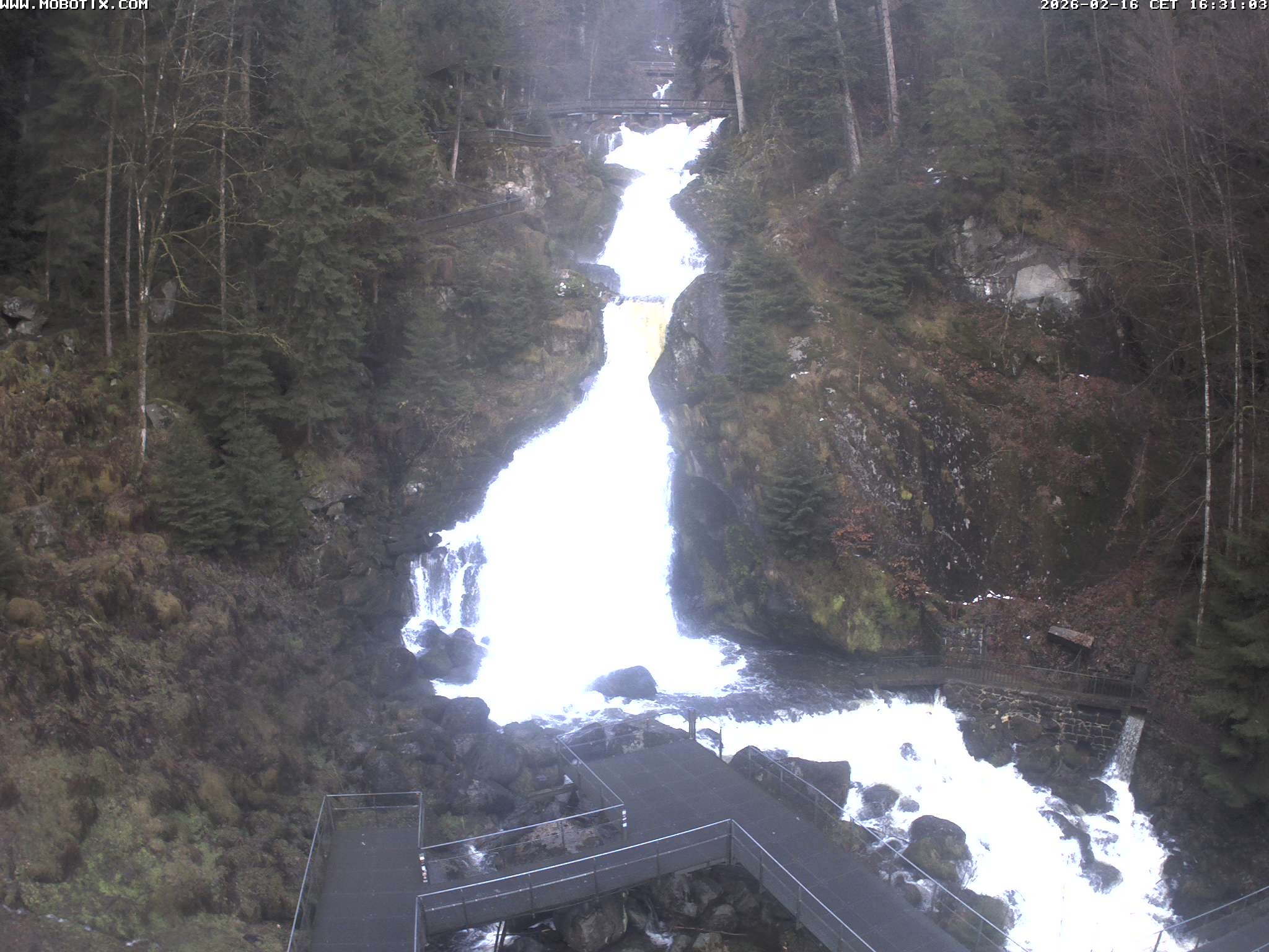 Archiv Foto Webcam Triberg Wasserfälle im Schwarzwald