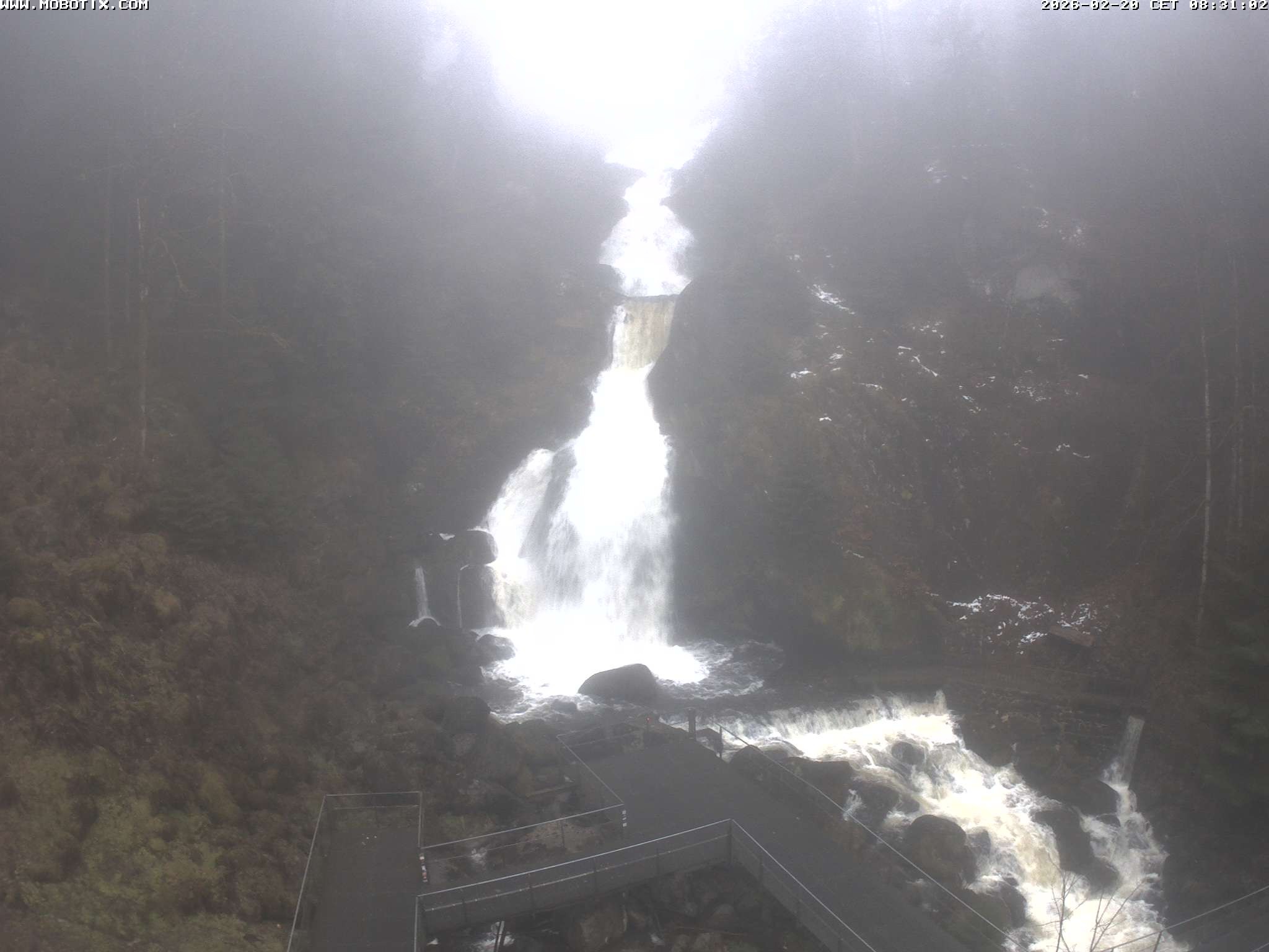 Archived image Webcam Triberg (Black Forest): Waterfalls