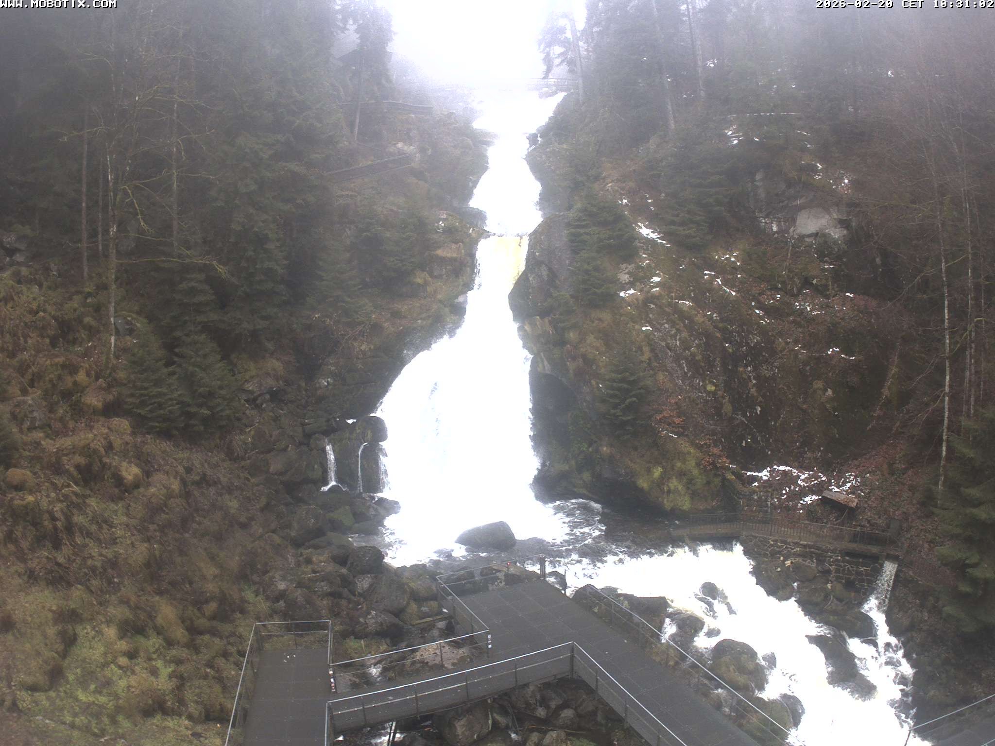 Archived image Webcam Triberg (Black Forest): Waterfalls