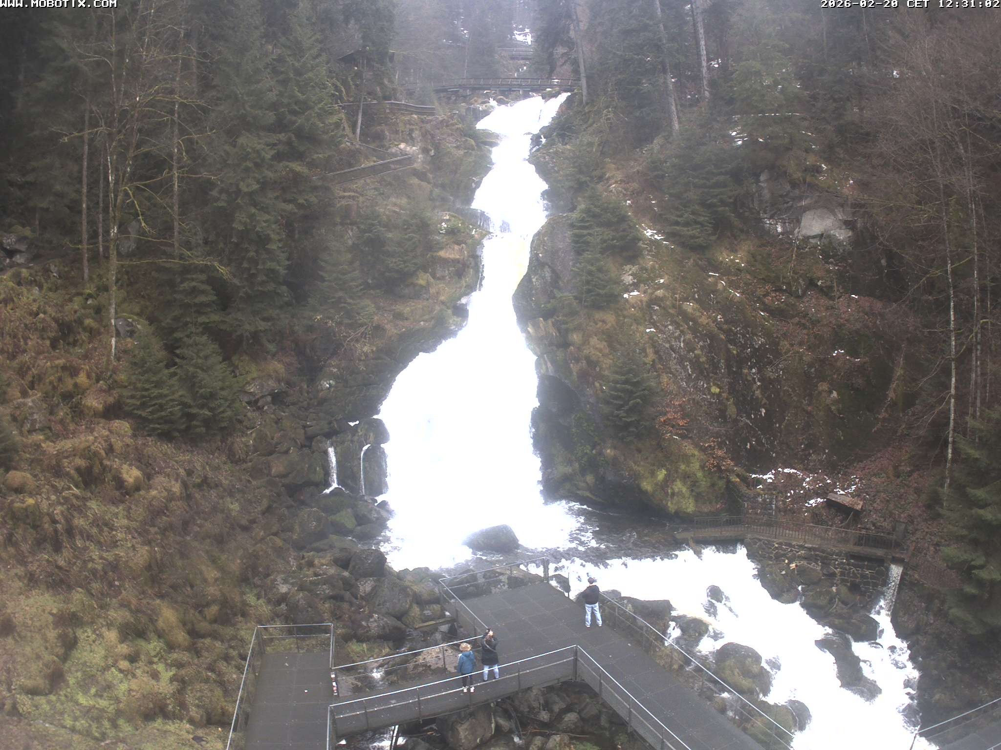 Archived image Webcam Triberg (Black Forest): Waterfalls