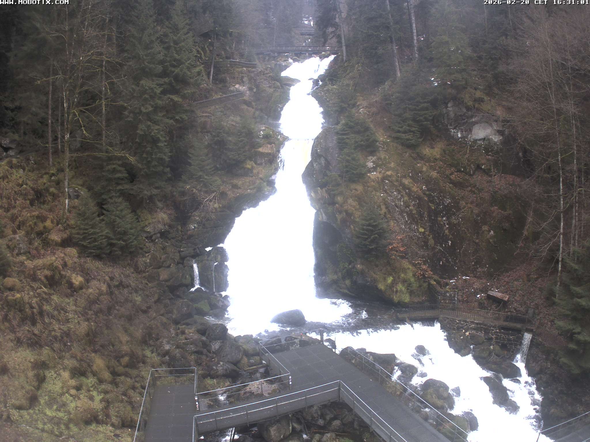Archived image Webcam Triberg (Black Forest): Waterfalls