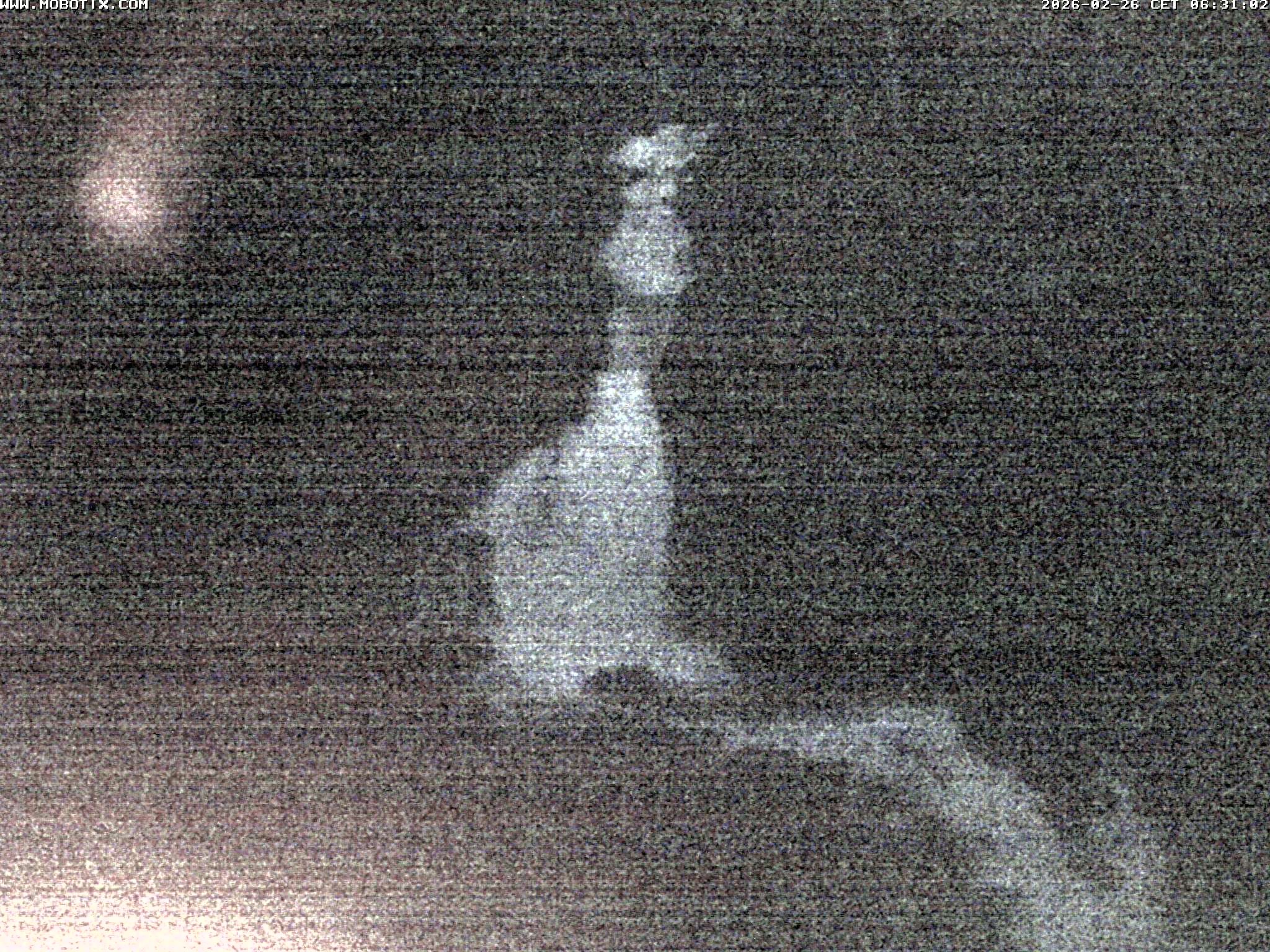 Archived image Webcam Triberg (Black Forest): Waterfalls