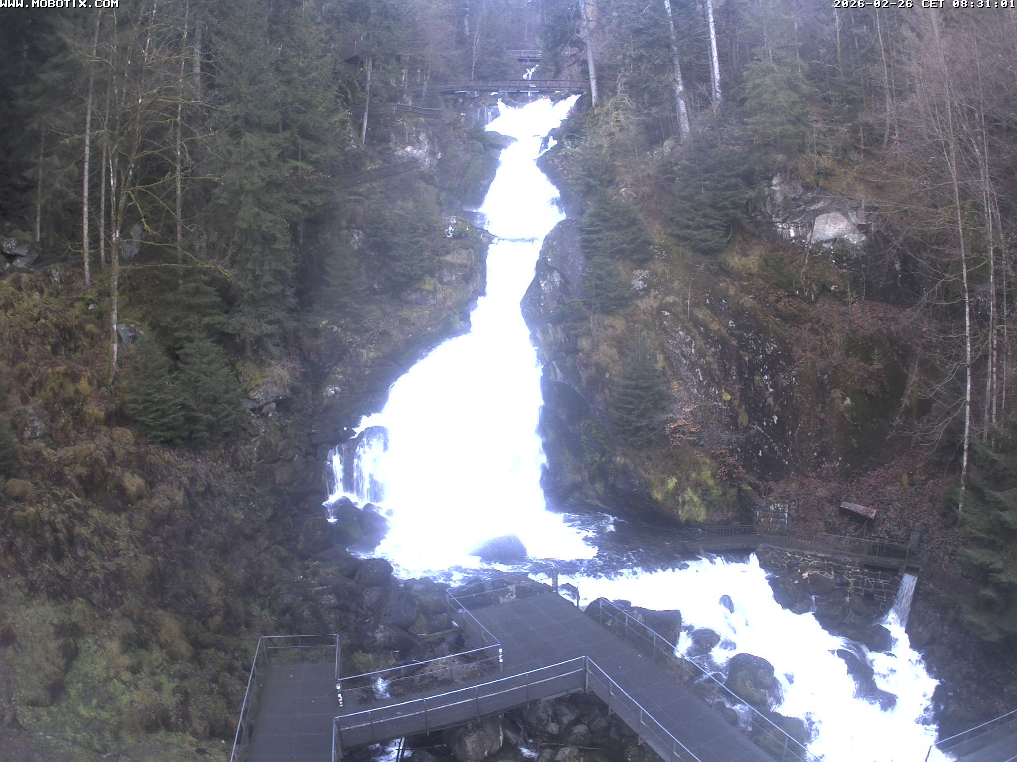 Archived image Webcam Triberg (Black Forest): Waterfalls