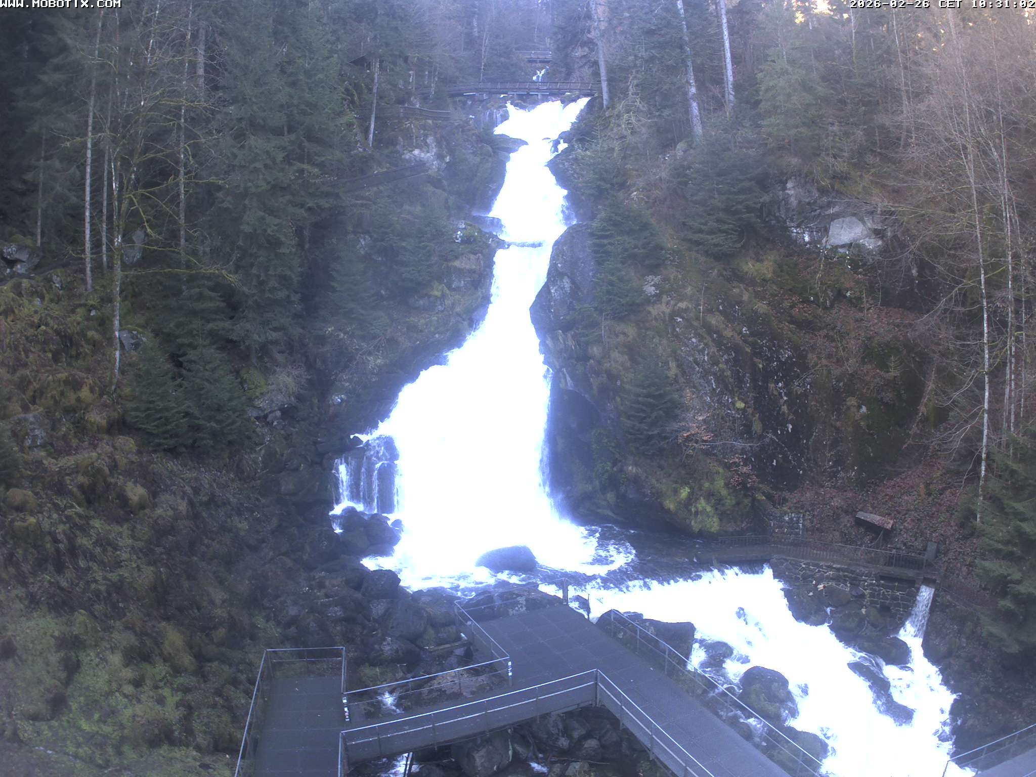 Archived image Webcam Triberg (Black Forest): Waterfalls