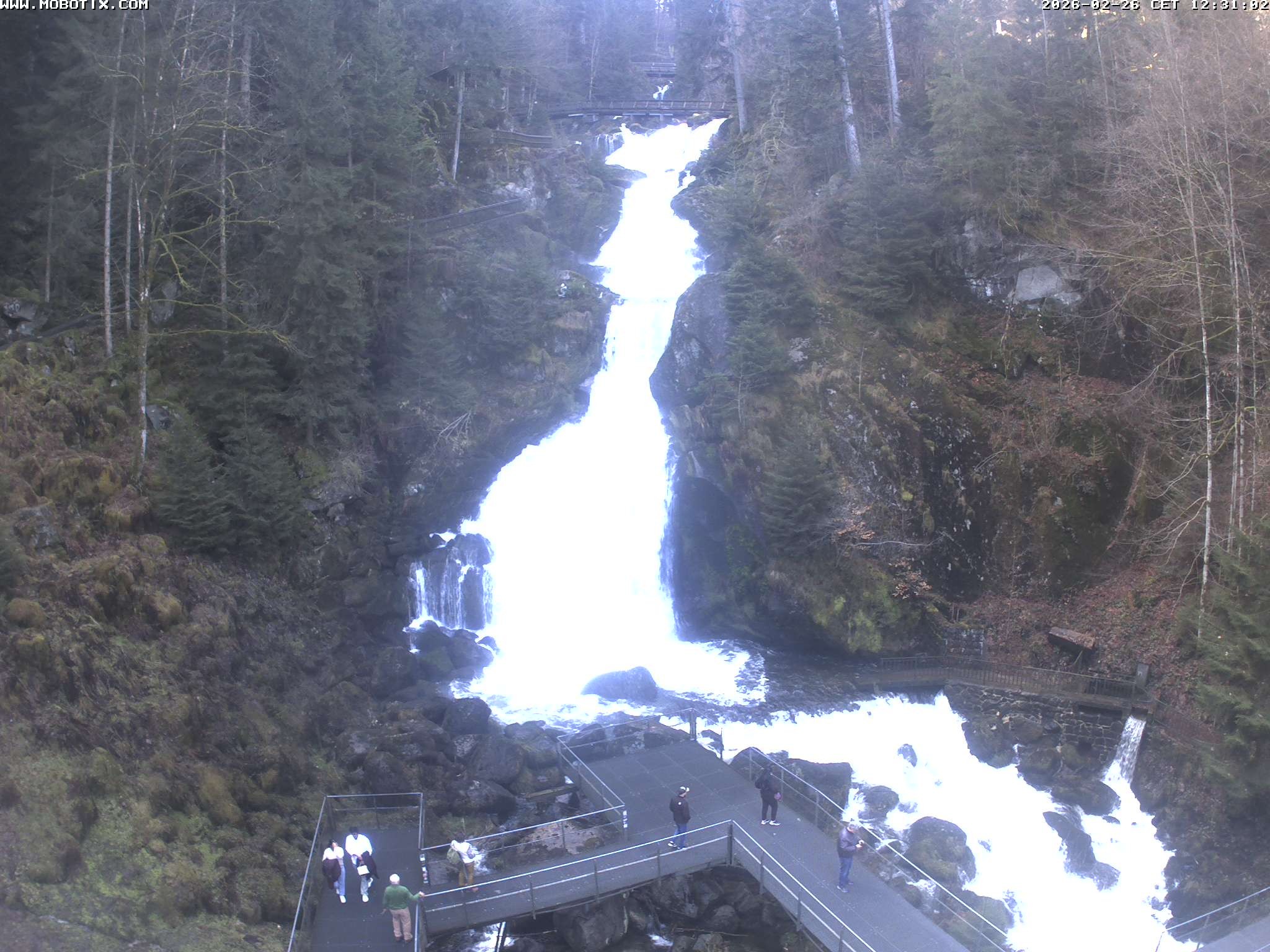 Archived image Webcam Triberg (Black Forest): Waterfalls