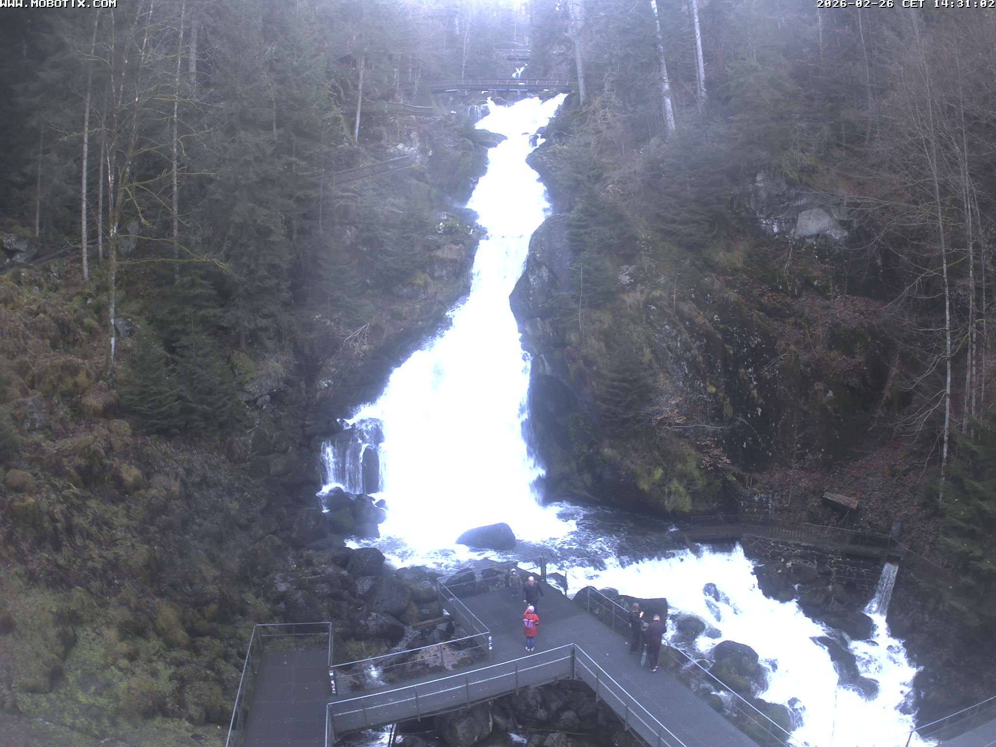 Archived image Webcam Triberg (Black Forest): Waterfalls