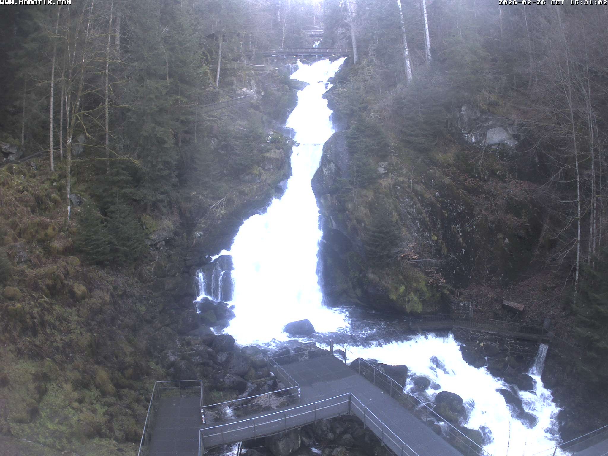 Archived image Webcam Triberg (Black Forest): Waterfalls