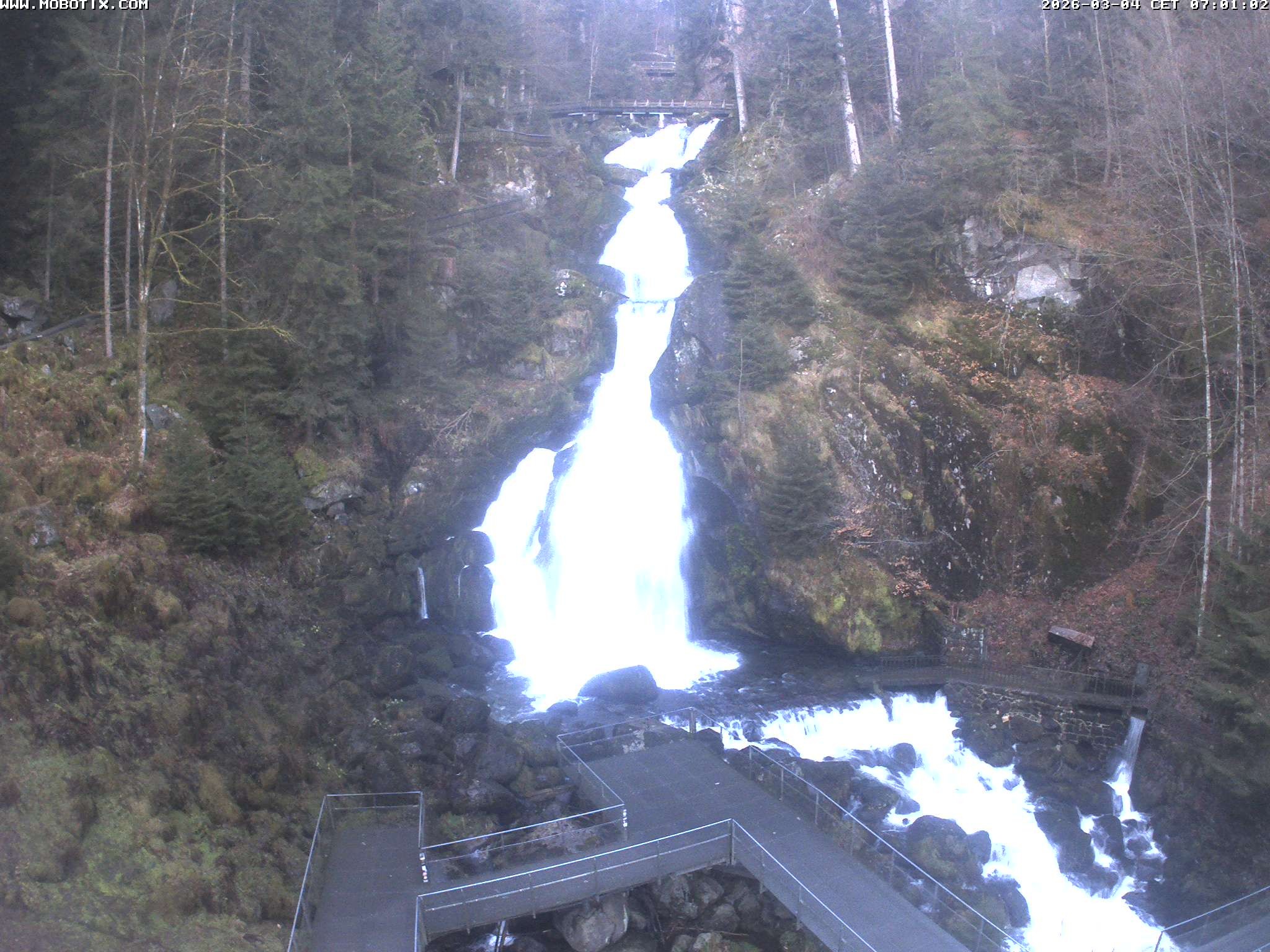 Archiv Foto Webcam Triberg Wasserfälle im Schwarzwald