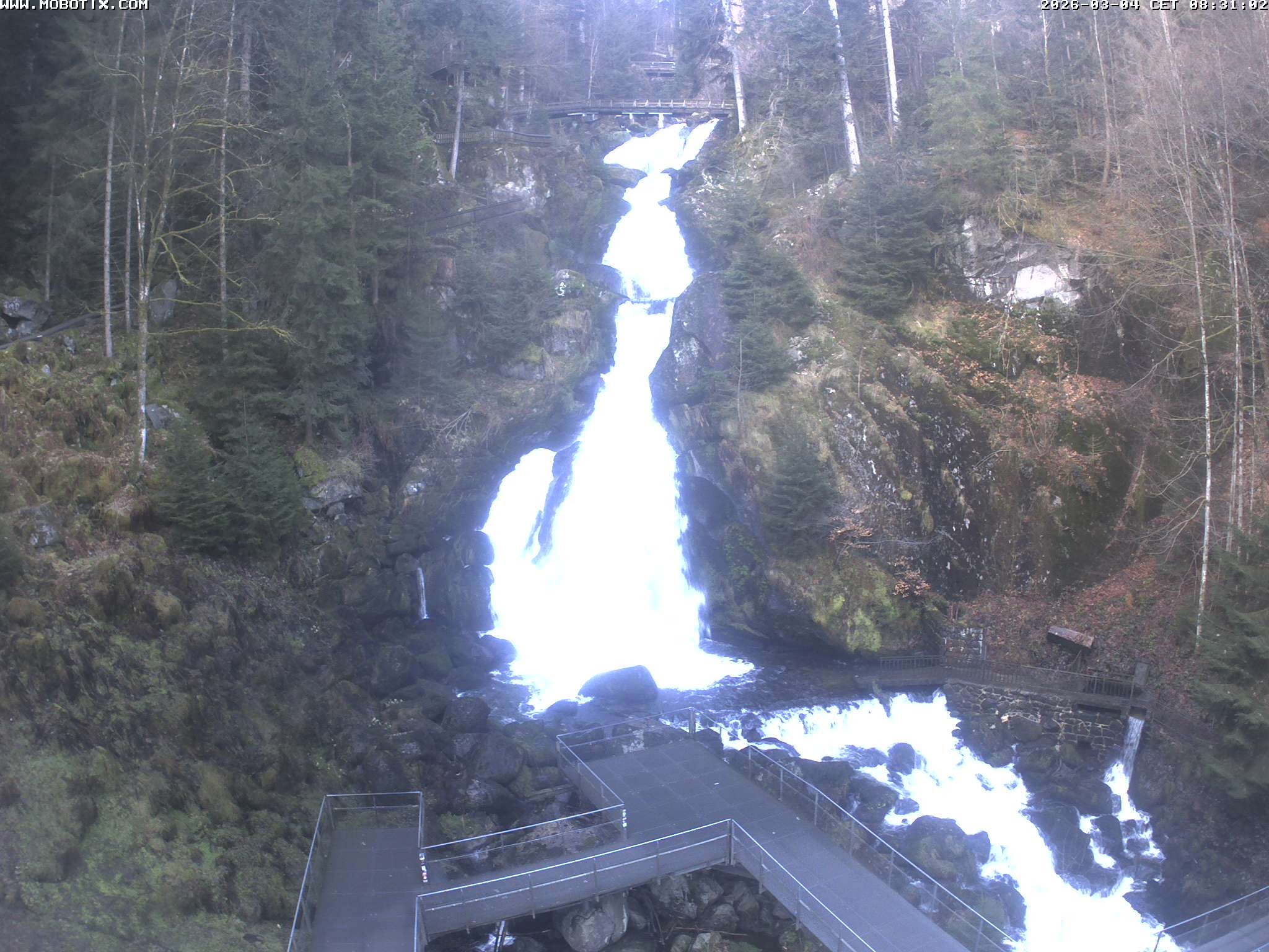 Archiv Foto Webcam Triberg Wasserfälle im Schwarzwald