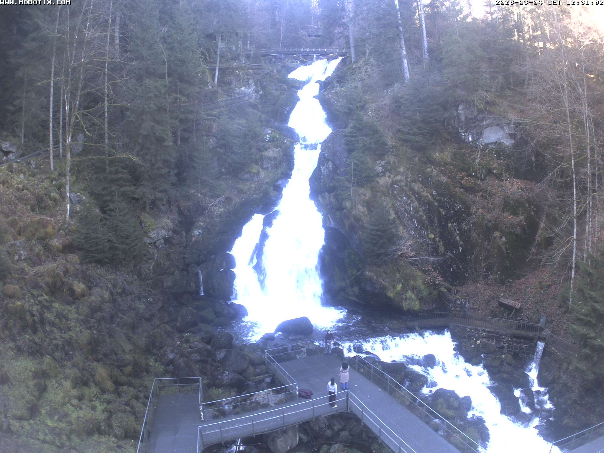 Archiv Foto Webcam Triberg Wasserfälle im Schwarzwald