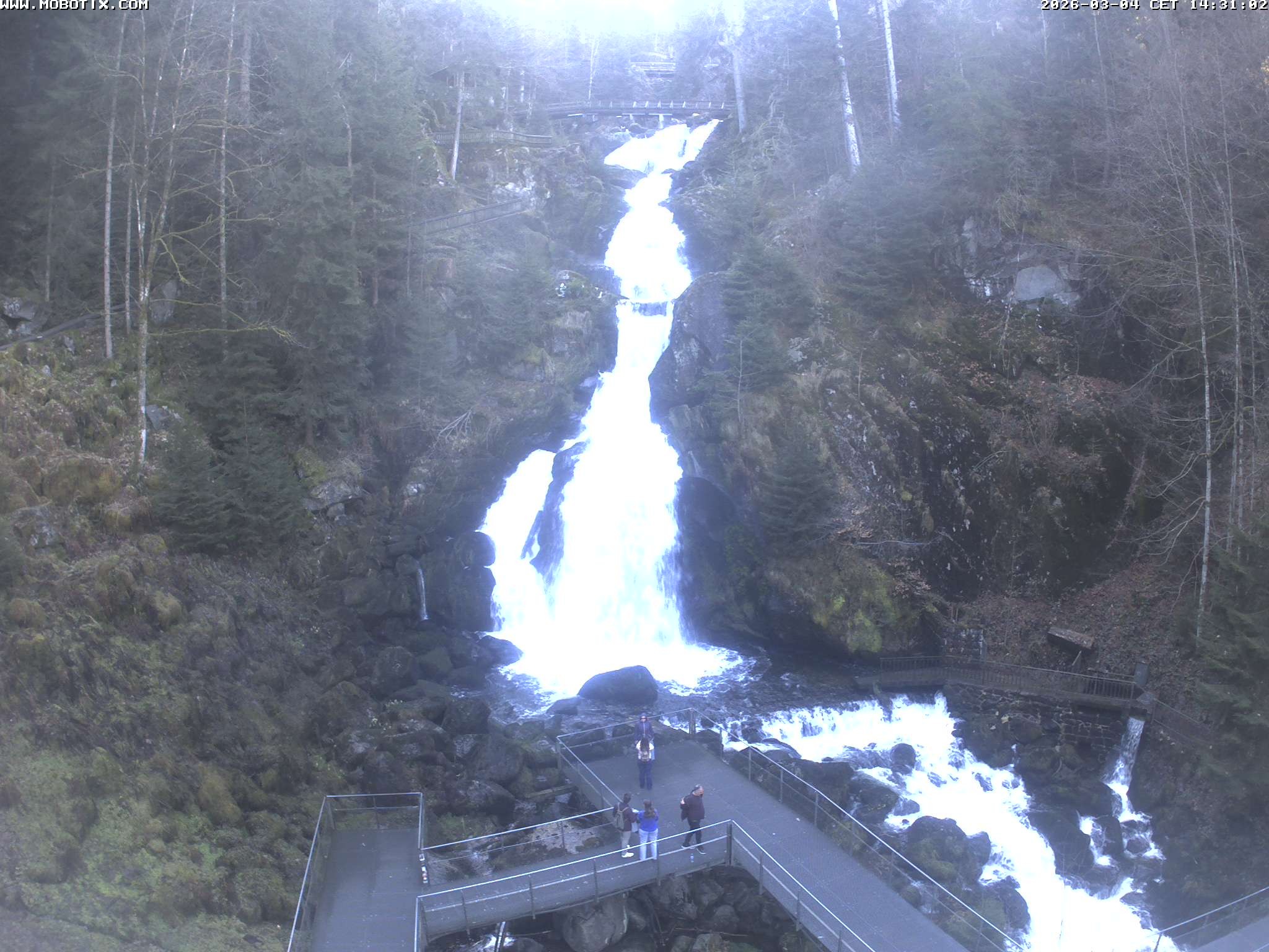 Archiv Foto Webcam Triberg Wasserfälle im Schwarzwald
