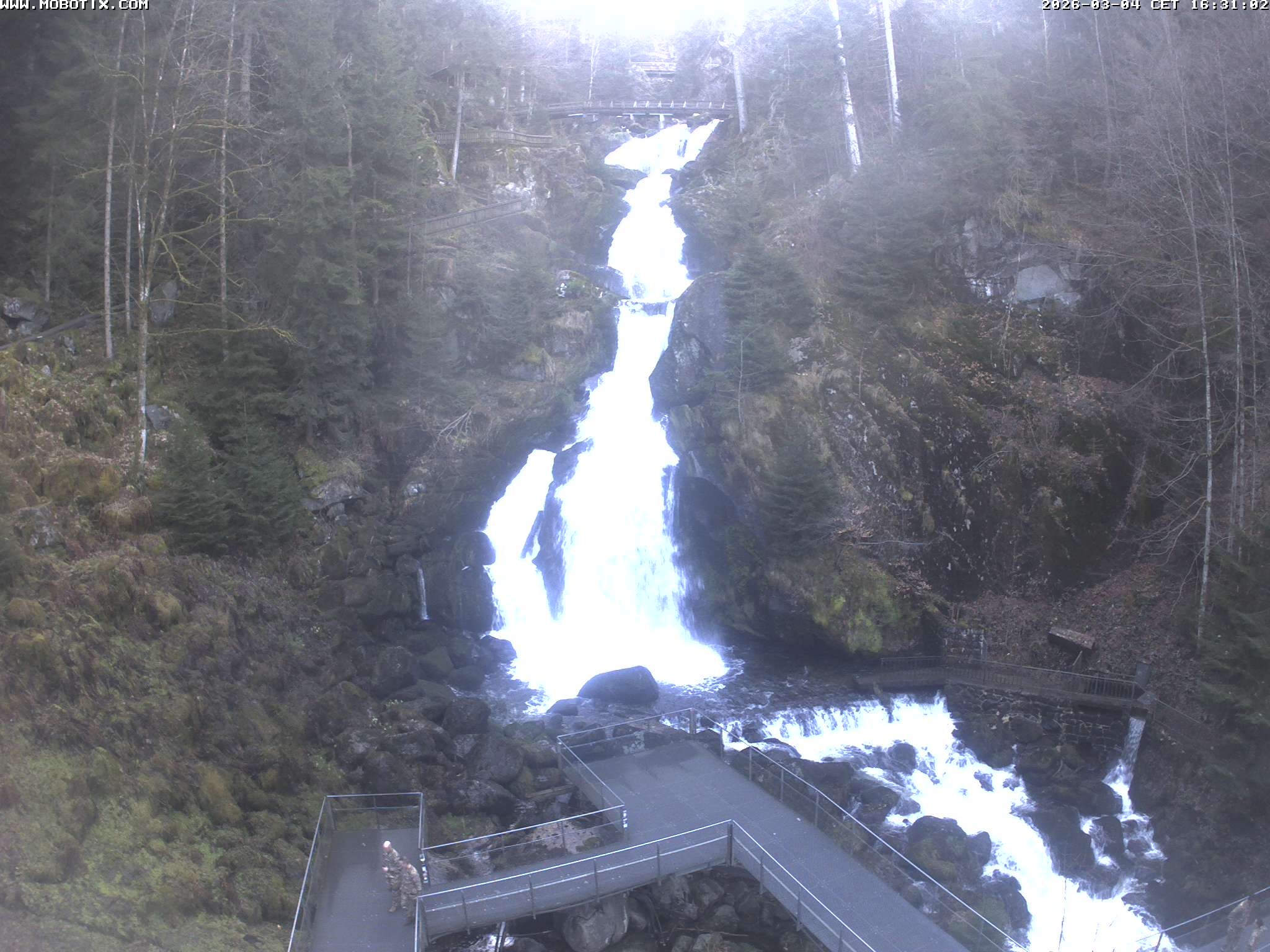 Archiv Foto Webcam Triberg Wasserfälle im Schwarzwald