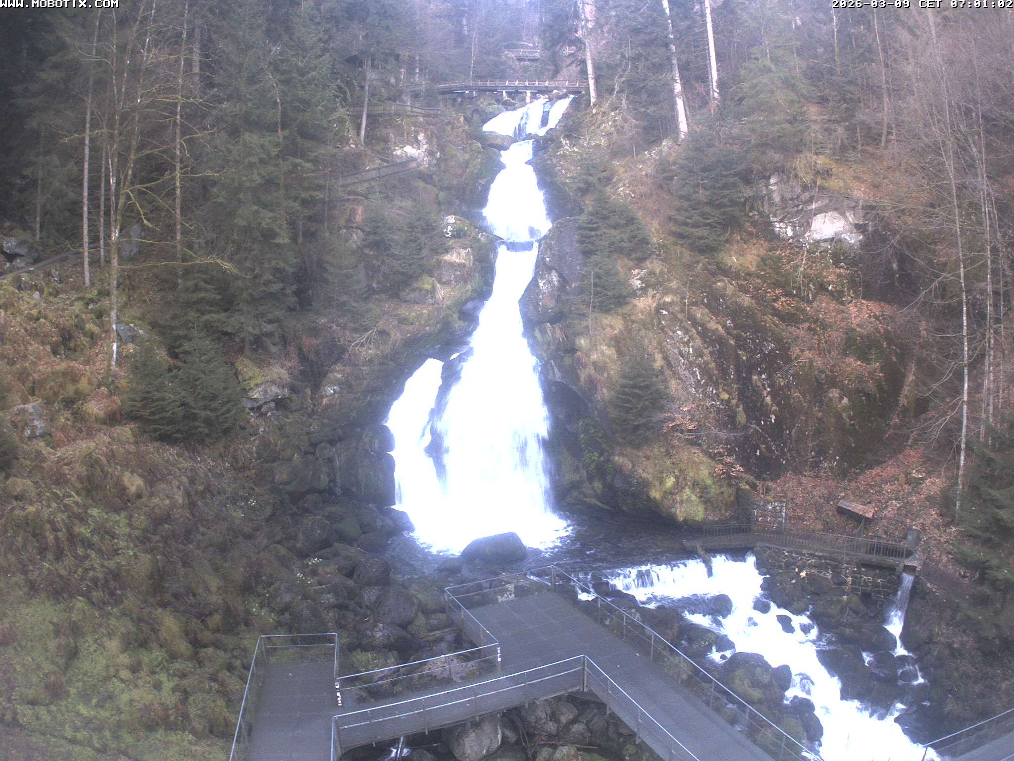 Archived image Webcam Triberg (Black Forest): Waterfalls