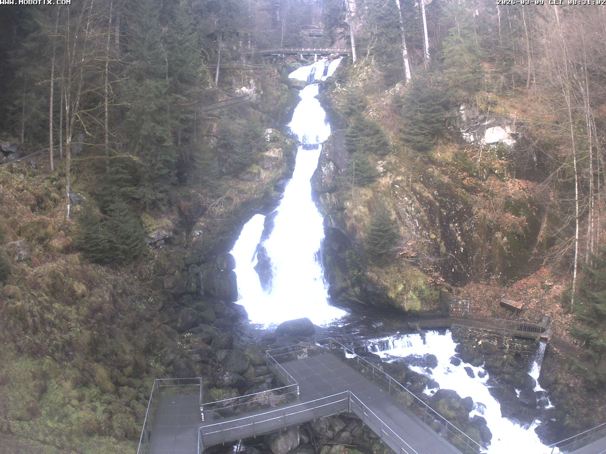 Archived image Webcam Triberg (Black Forest): Waterfalls