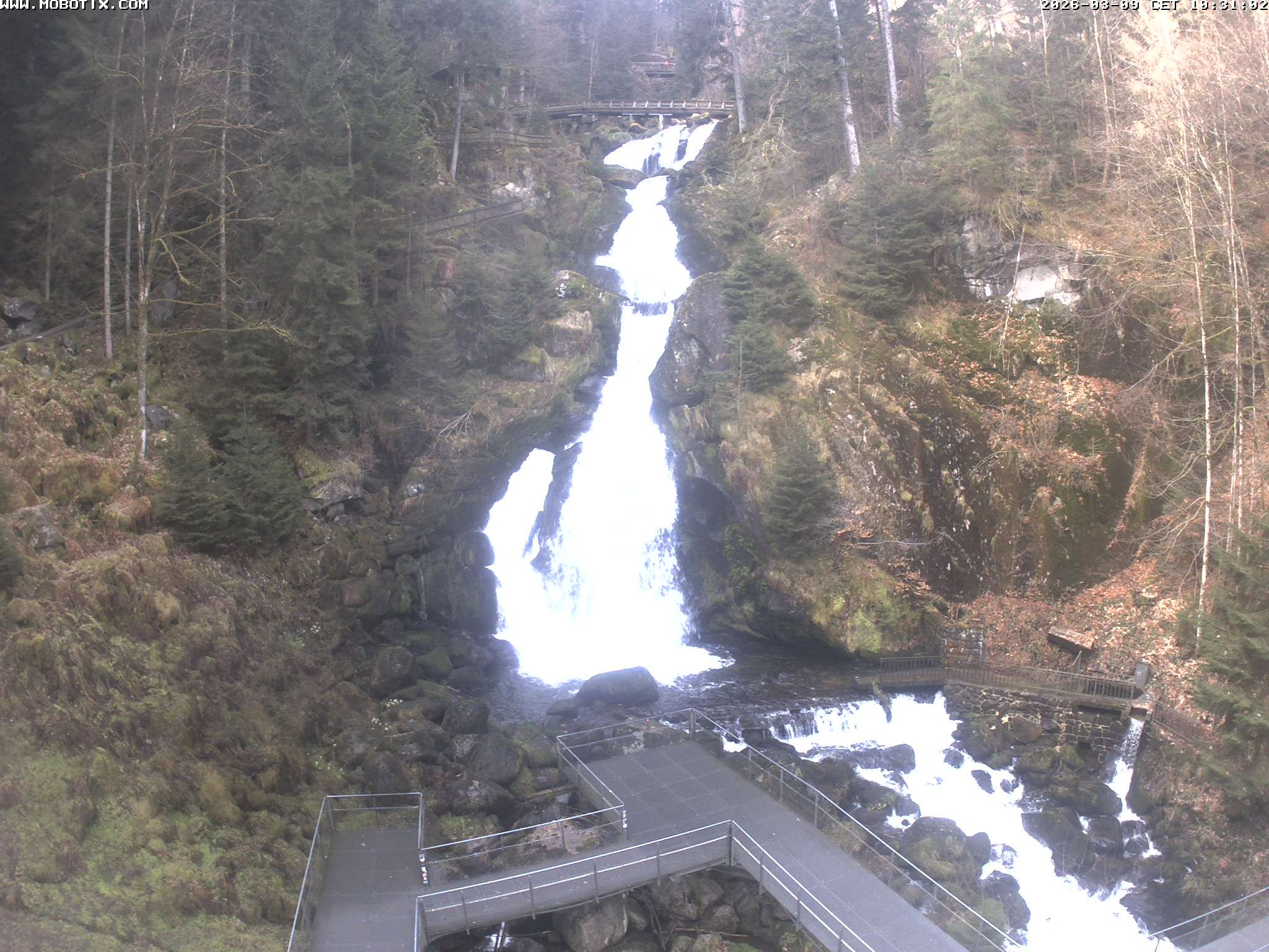 Archived image Webcam Triberg (Black Forest): Waterfalls