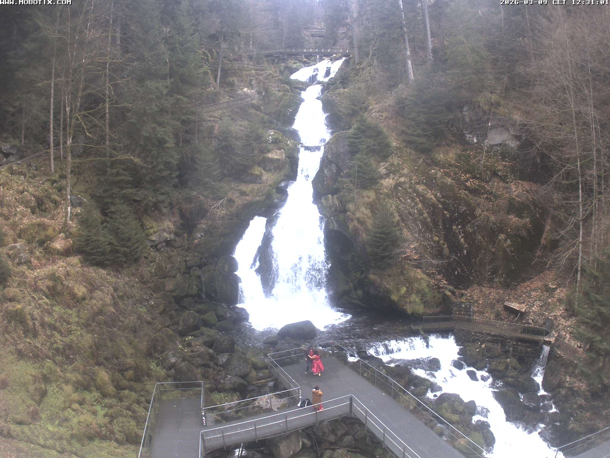 Archived image Webcam Triberg (Black Forest): Waterfalls