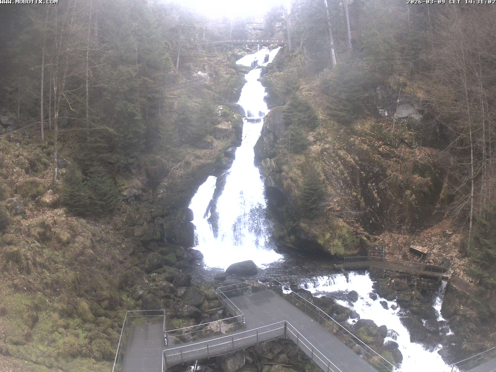 Archived image Webcam Triberg (Black Forest): Waterfalls