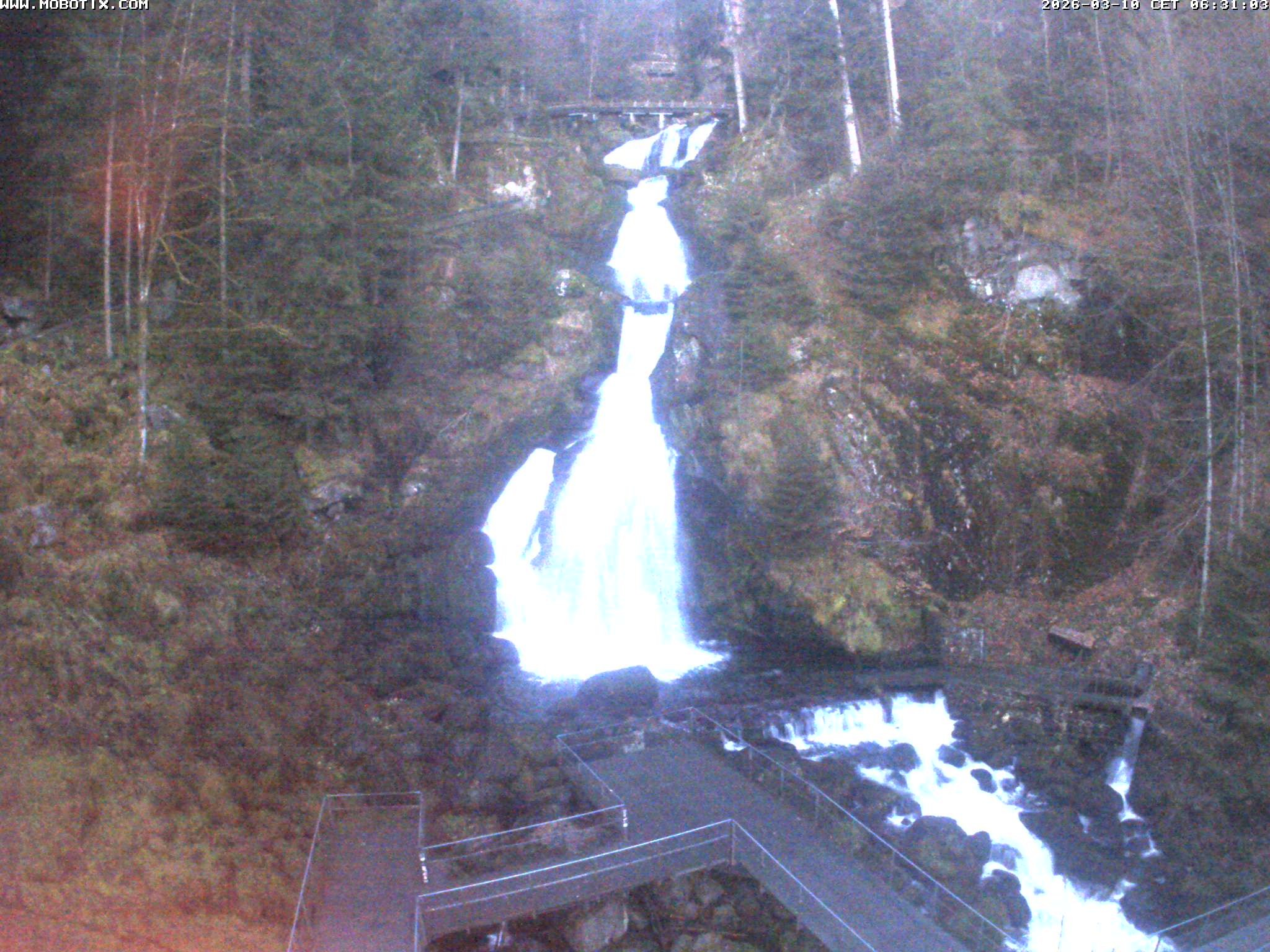 Archived image Webcam Triberg (Black Forest): Waterfalls